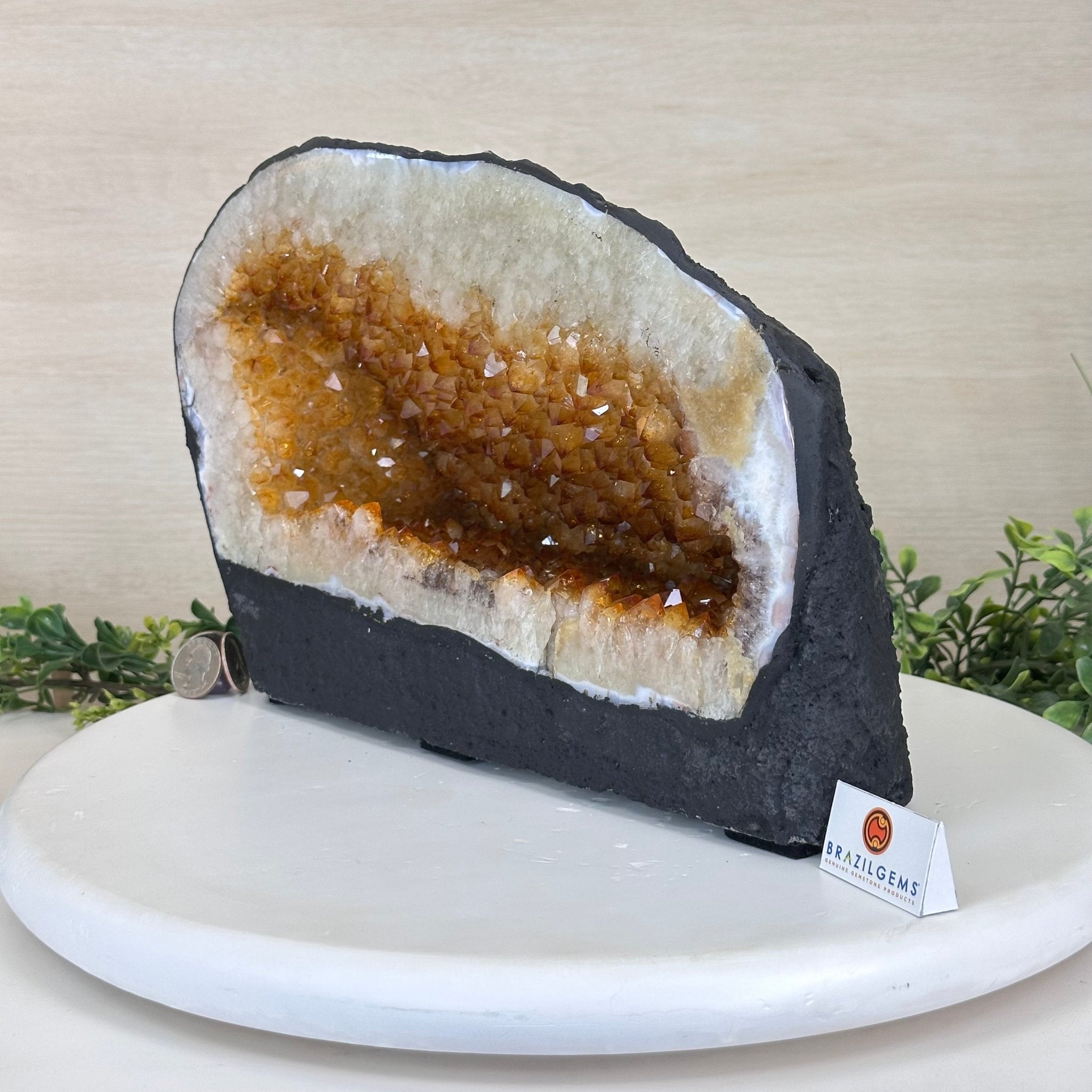 Extra Quality Citrine Cathedral, 24.9 lbs & 8.3" Tall 5603 - 0384 - Brazil GemsBrazil GemsExtra Quality Citrine Cathedral, 24.9 lbs & 8.3" Tall 5603 - 0384Cathedrals5603 - 0384