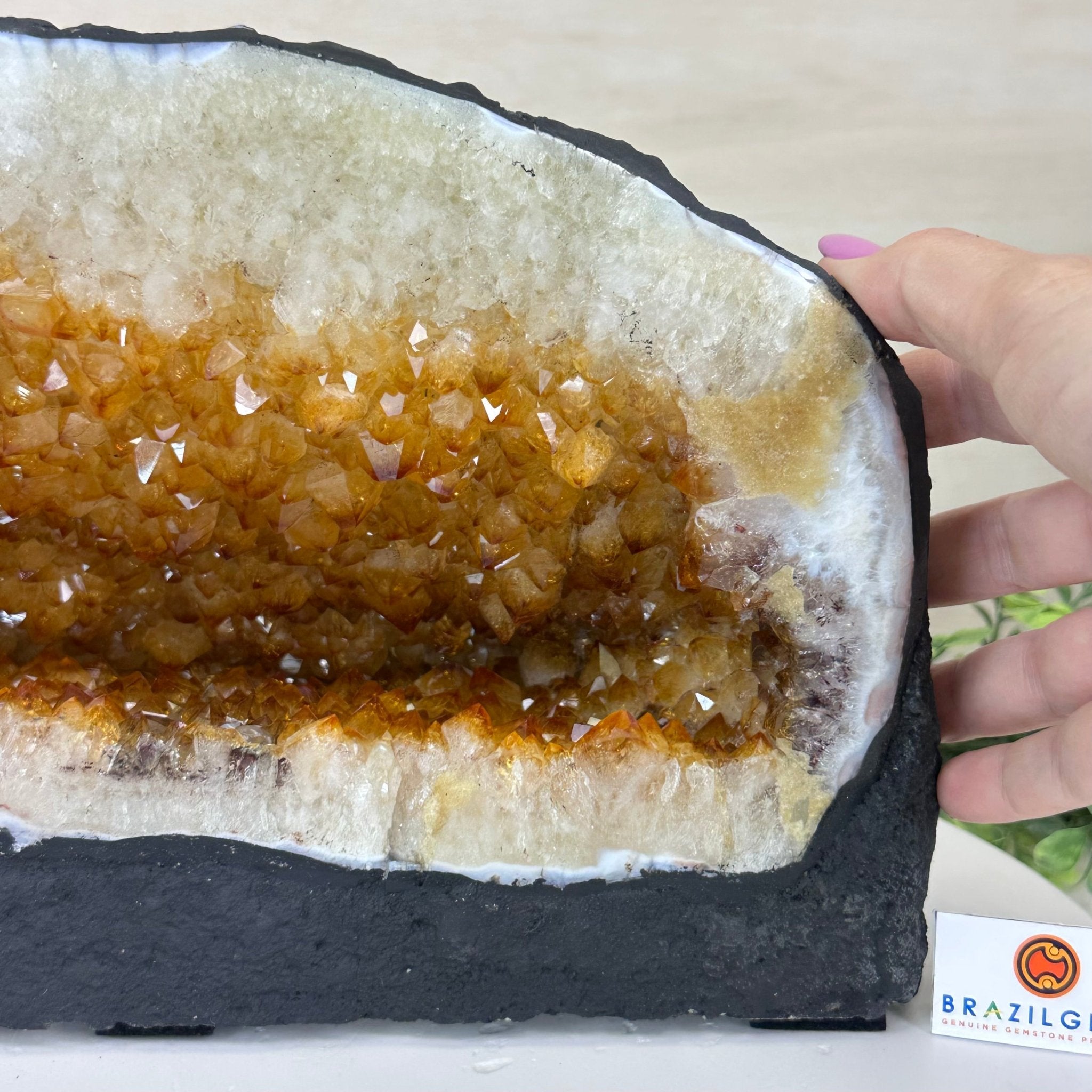 Extra Quality Citrine Cathedral, 24.9 lbs & 8.3" Tall 5603 - 0384 - Brazil GemsBrazil GemsExtra Quality Citrine Cathedral, 24.9 lbs & 8.3" Tall 5603 - 0384Cathedrals5603 - 0384