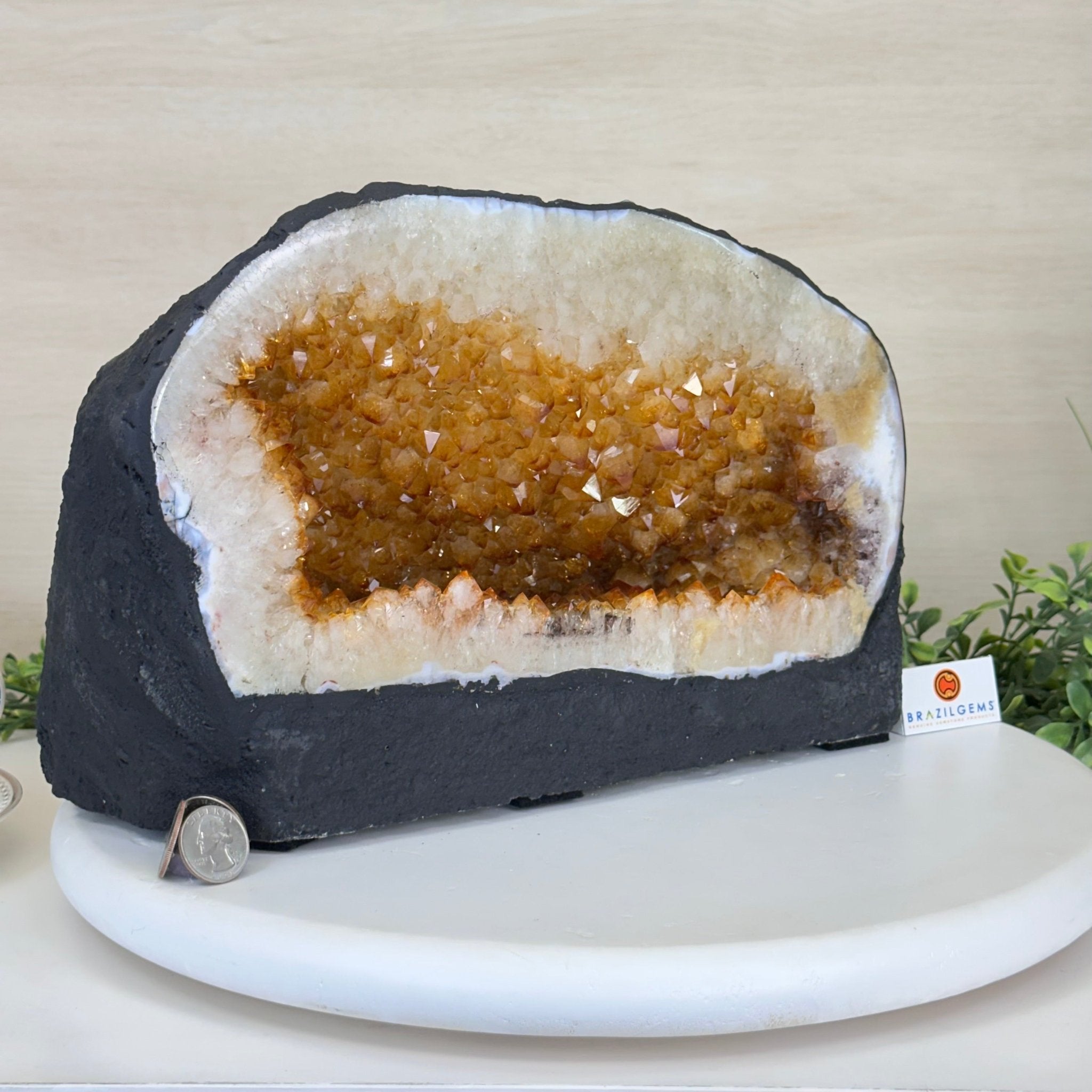 Extra Quality Citrine Cathedral, 24.9 lbs & 8.3" Tall 5603 - 0384 - Brazil GemsBrazil GemsExtra Quality Citrine Cathedral, 24.9 lbs & 8.3" Tall 5603 - 0384Cathedrals5603 - 0384