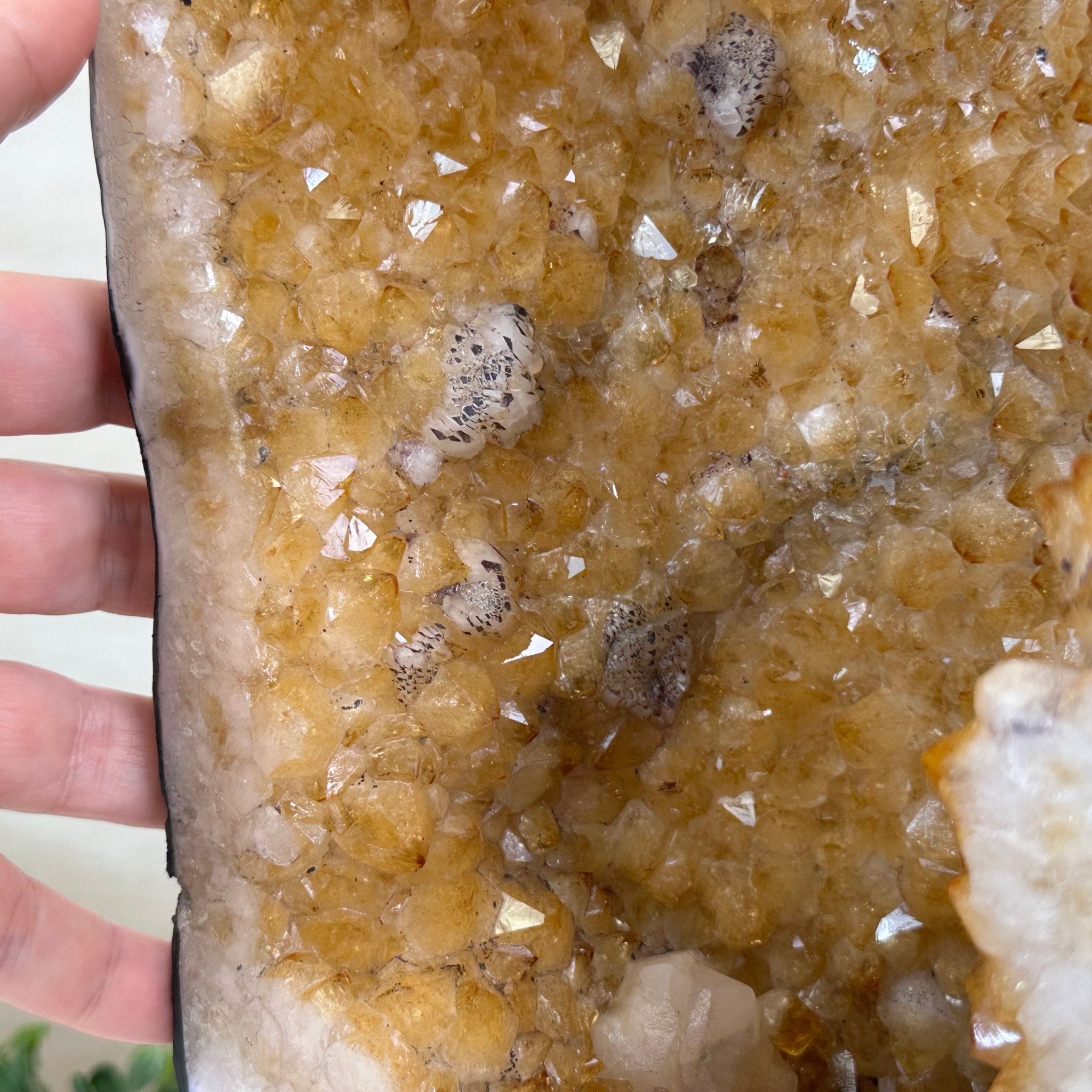 Extra Quality Citrine Cathedral, 25.6 lbs & 16.6" Tall 5603 - 0387 - Brazil GemsBrazil GemsExtra Quality Citrine Cathedral, 25.6 lbs & 16.6" Tall 5603 - 0387Cathedrals5603 - 0387