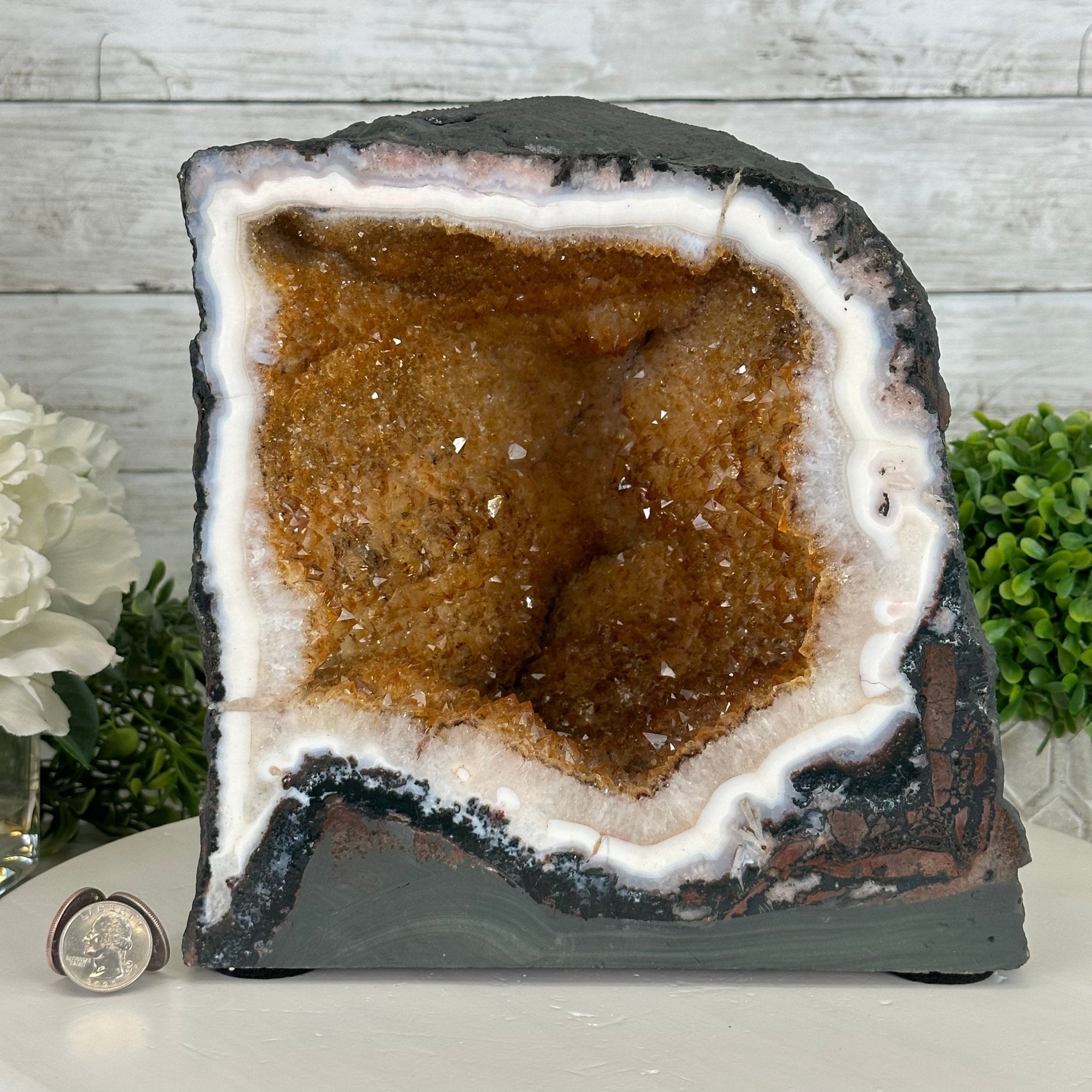 Extra Quality Citrine Cathedral, 25.8 lbs & 9.5" tall, Model #5603-0260 by Brazil Gems - Brazil GemsBrazil GemsExtra Quality Citrine Cathedral, 25.8 lbs & 9.5" tall, Model #5603-0260 by Brazil GemsCathedrals5603-0260