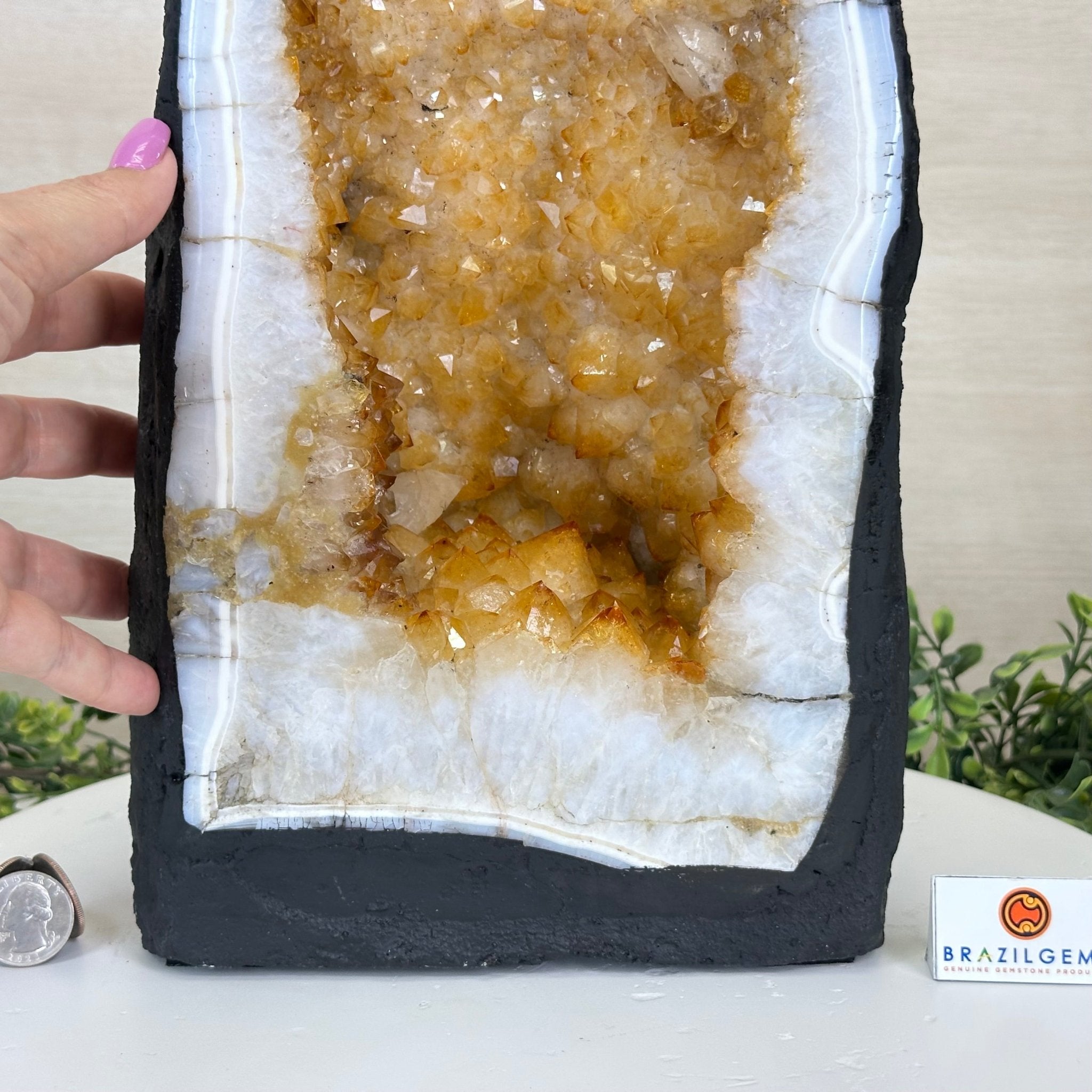 Extra Quality Citrine Cathedral, 32.2 lbs & 16.8" Tall 5603 - 0390 - Brazil GemsBrazil GemsExtra Quality Citrine Cathedral, 32.2 lbs & 16.8" Tall 5603 - 0390Cathedrals5603 - 0390