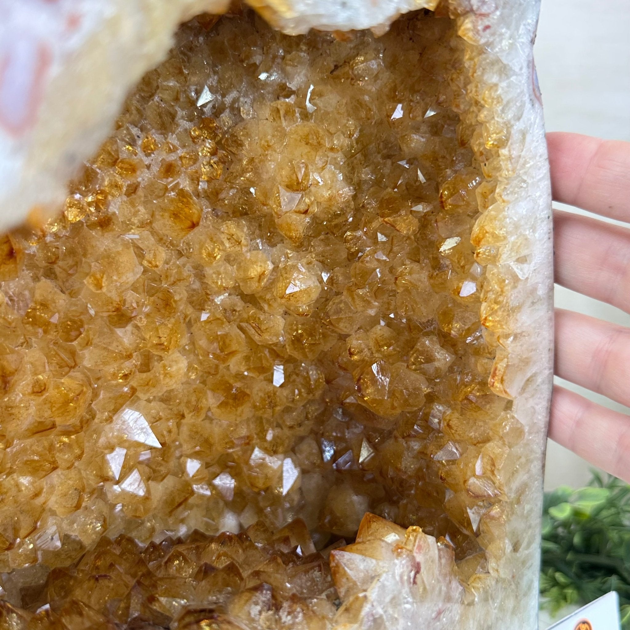 Extra Quality Citrine Cathedral, 35.4 lbs & 10.9" Tall 5603 - 0392 - Brazil GemsBrazil GemsExtra Quality Citrine Cathedral, 35.4 lbs & 10.9" Tall 5603 - 0392Cathedrals5603 - 0392