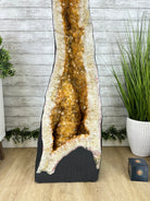 Extra Quality Citrine Cathedral, 377.1 lbs & 67.2" Tall #5603-0313 - Brazil GemsBrazil GemsExtra Quality Citrine Cathedral, 377.1 lbs & 67.2" Tall #5603-0313Cathedrals5603-0313