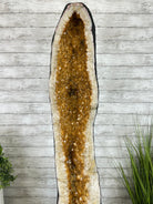 Extra Quality Citrine Cathedral, 377.1 lbs & 67.2" Tall #5603-0313 - Brazil GemsBrazil GemsExtra Quality Citrine Cathedral, 377.1 lbs & 67.2" Tall #5603-0313Cathedrals5603-0313