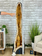 Extra Quality Citrine Cathedral, 377.1 lbs & 67.2" Tall #5603-0313 - Brazil GemsBrazil GemsExtra Quality Citrine Cathedral, 377.1 lbs & 67.2" Tall #5603-0313Cathedrals5603-0313