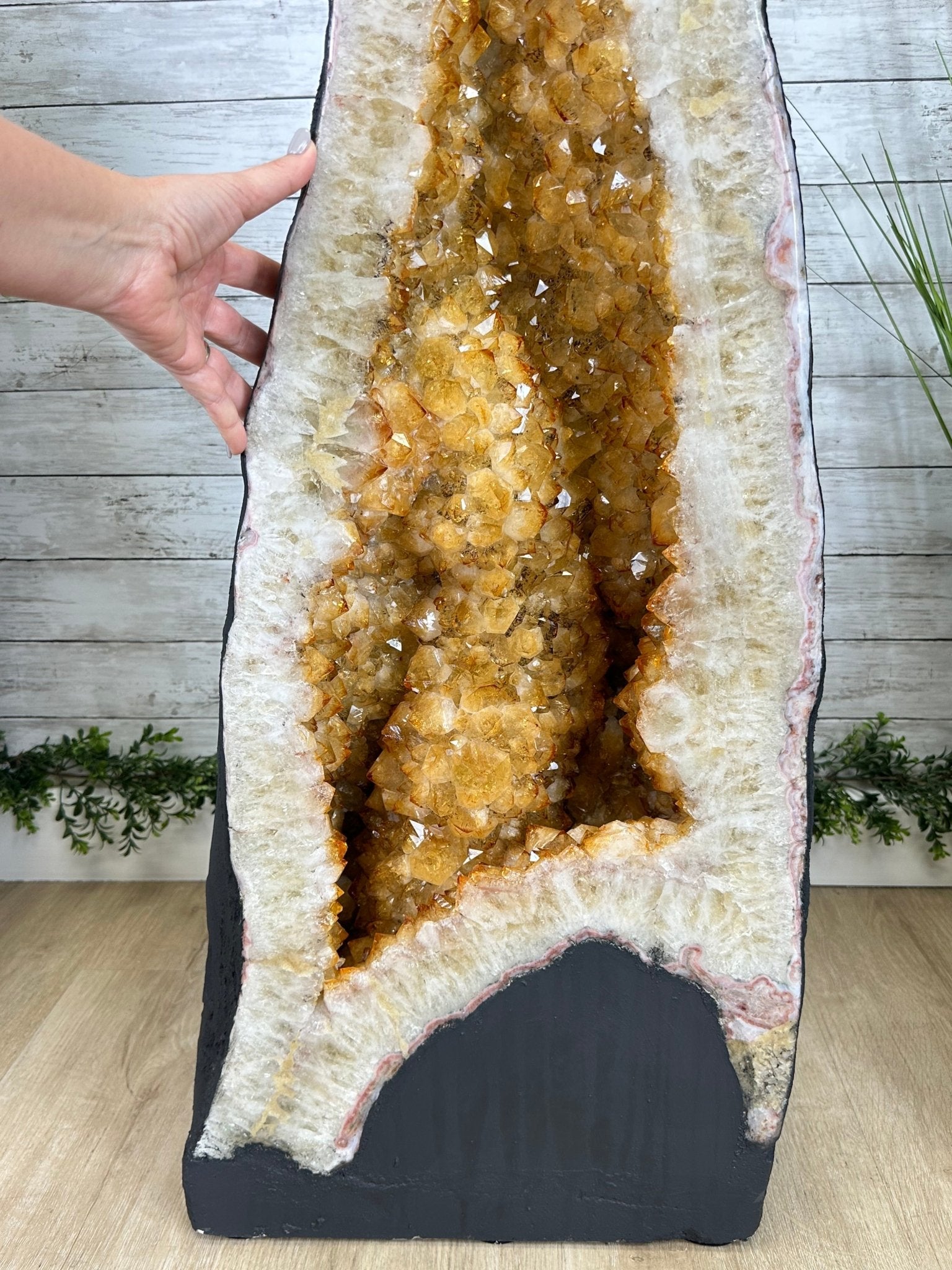 Extra Quality Citrine Cathedral, 377.1 lbs & 67.2" Tall #5603-0313 - Brazil GemsBrazil GemsExtra Quality Citrine Cathedral, 377.1 lbs & 67.2" Tall #5603-0313Cathedrals5603-0313