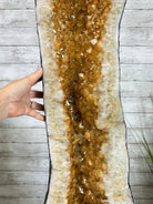 Extra Quality Citrine Cathedral, 377.1 lbs & 67.2" Tall #5603-0313 - Brazil GemsBrazil GemsExtra Quality Citrine Cathedral, 377.1 lbs & 67.2" Tall #5603-0313Cathedrals5603-0313