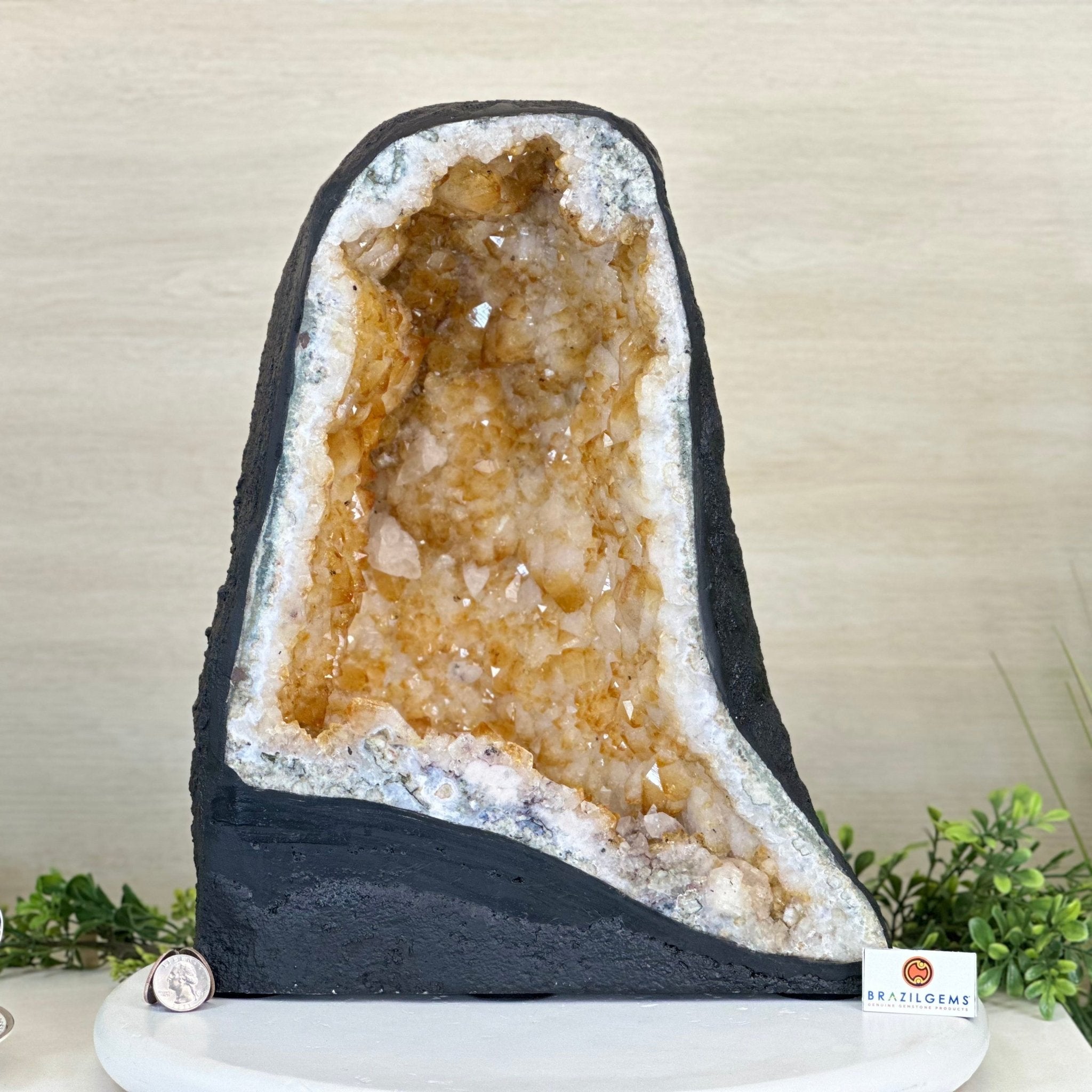 Extra Quality Citrine Cathedral, 41 lbs & 14.9" Tall 5603 - 0397 - Brazil GemsBrazil GemsExtra Quality Citrine Cathedral, 41 lbs & 14.9" Tall 5603 - 0397Cathedrals5603 - 0397
