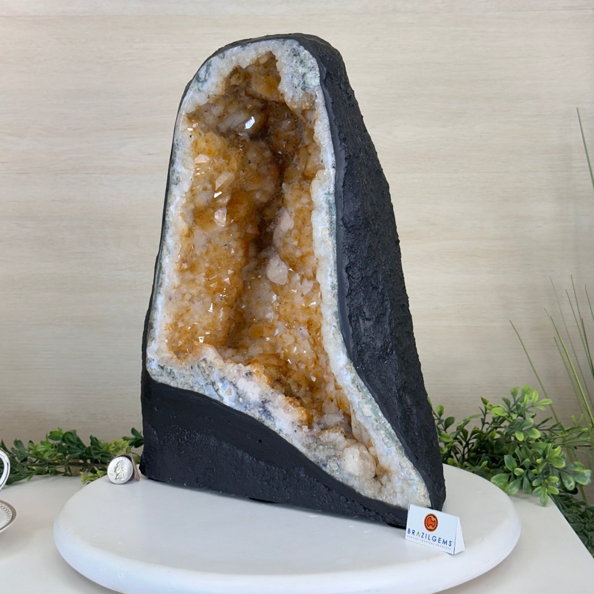 Extra Quality Citrine Cathedral, 41 lbs & 14.9" Tall 5603 - 0397 - Brazil GemsBrazil GemsExtra Quality Citrine Cathedral, 41 lbs & 14.9" Tall 5603 - 0397Cathedrals5603 - 0397