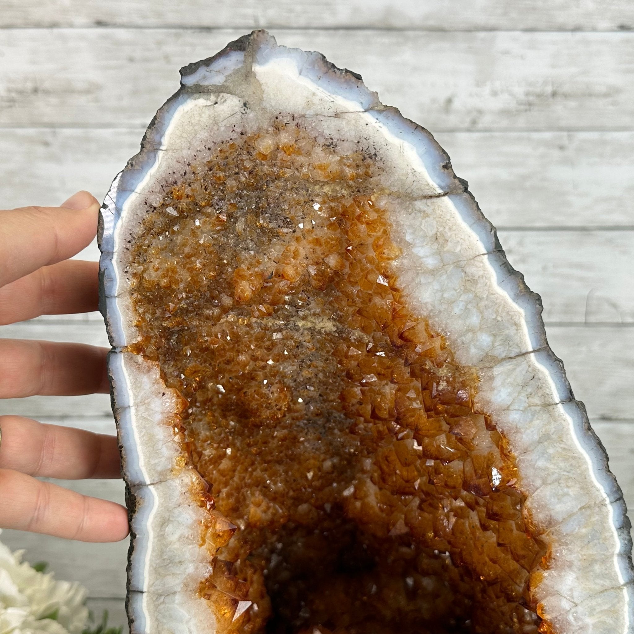 Extra Quality Citrine Cathedral, 50.5 lbs & 17" tall, Model #5603-0273 by Brazil Gems - Brazil GemsBrazil GemsExtra Quality Citrine Cathedral, 50.5 lbs & 17" tall, Model #5603-0273 by Brazil GemsCathedrals5603-0273