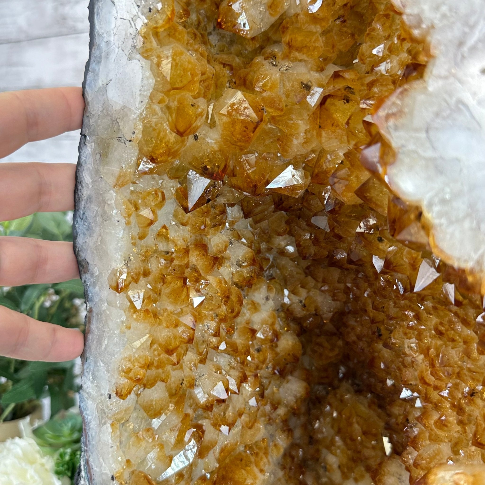 Extra Quality Citrine Cathedral, 72.5 lbs & 23.3" Tall #5603-0301 by Brazil Gems® - Brazil GemsBrazil GemsExtra Quality Citrine Cathedral, 72.5 lbs & 23.3" Tall #5603-0301 by Brazil Gems®Cathedrals5603-0301
