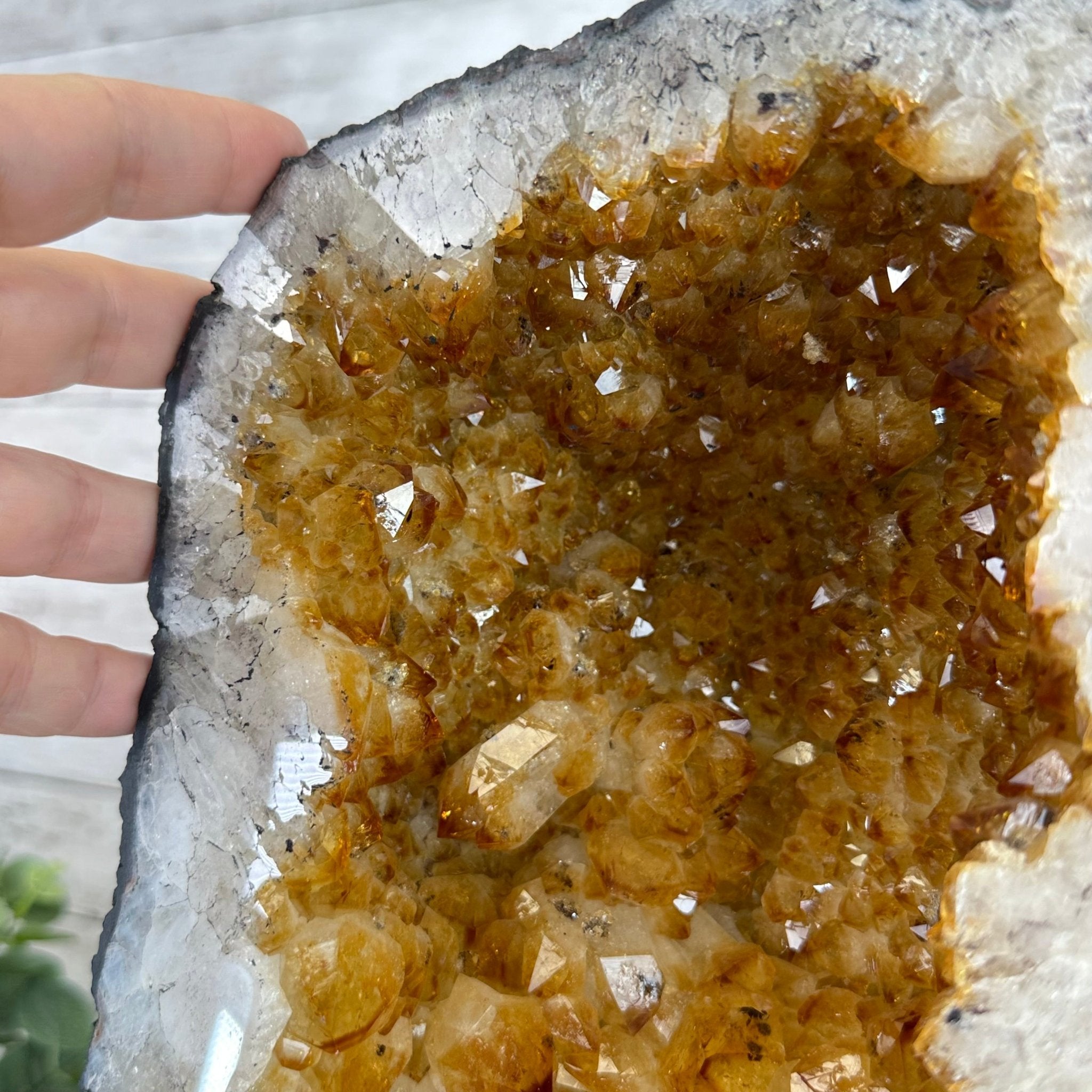 Extra Quality Citrine Cathedral, 72.5 lbs & 23.3" Tall #5603-0301 by Brazil Gems® - Brazil GemsBrazil GemsExtra Quality Citrine Cathedral, 72.5 lbs & 23.3" Tall #5603-0301 by Brazil Gems®Cathedrals5603-0301