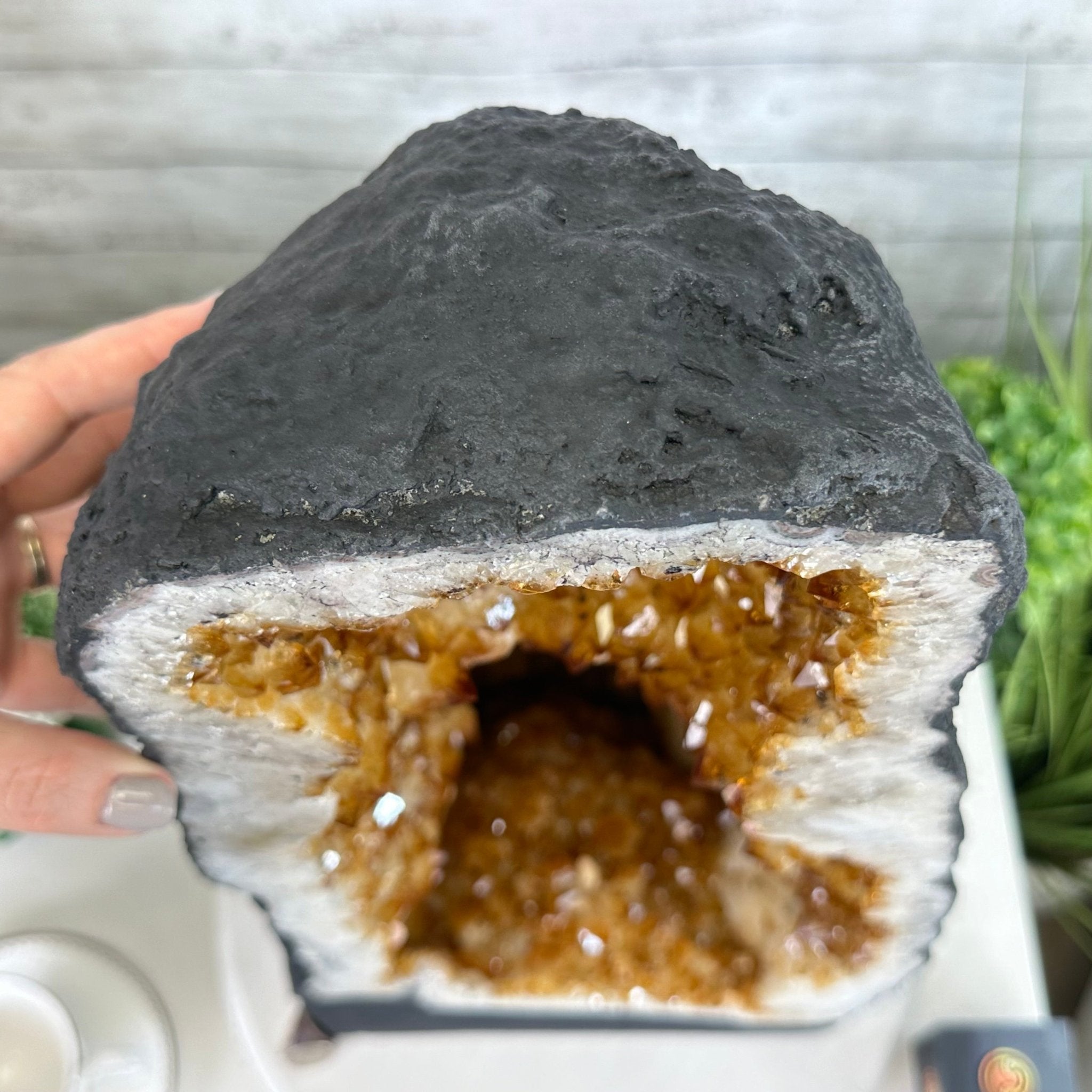 Extra Quality Citrine Cathedral, 72.5 lbs & 23.3" Tall #5603-0301 by Brazil Gems® - Brazil GemsBrazil GemsExtra Quality Citrine Cathedral, 72.5 lbs & 23.3" Tall #5603-0301 by Brazil Gems®Cathedrals5603-0301