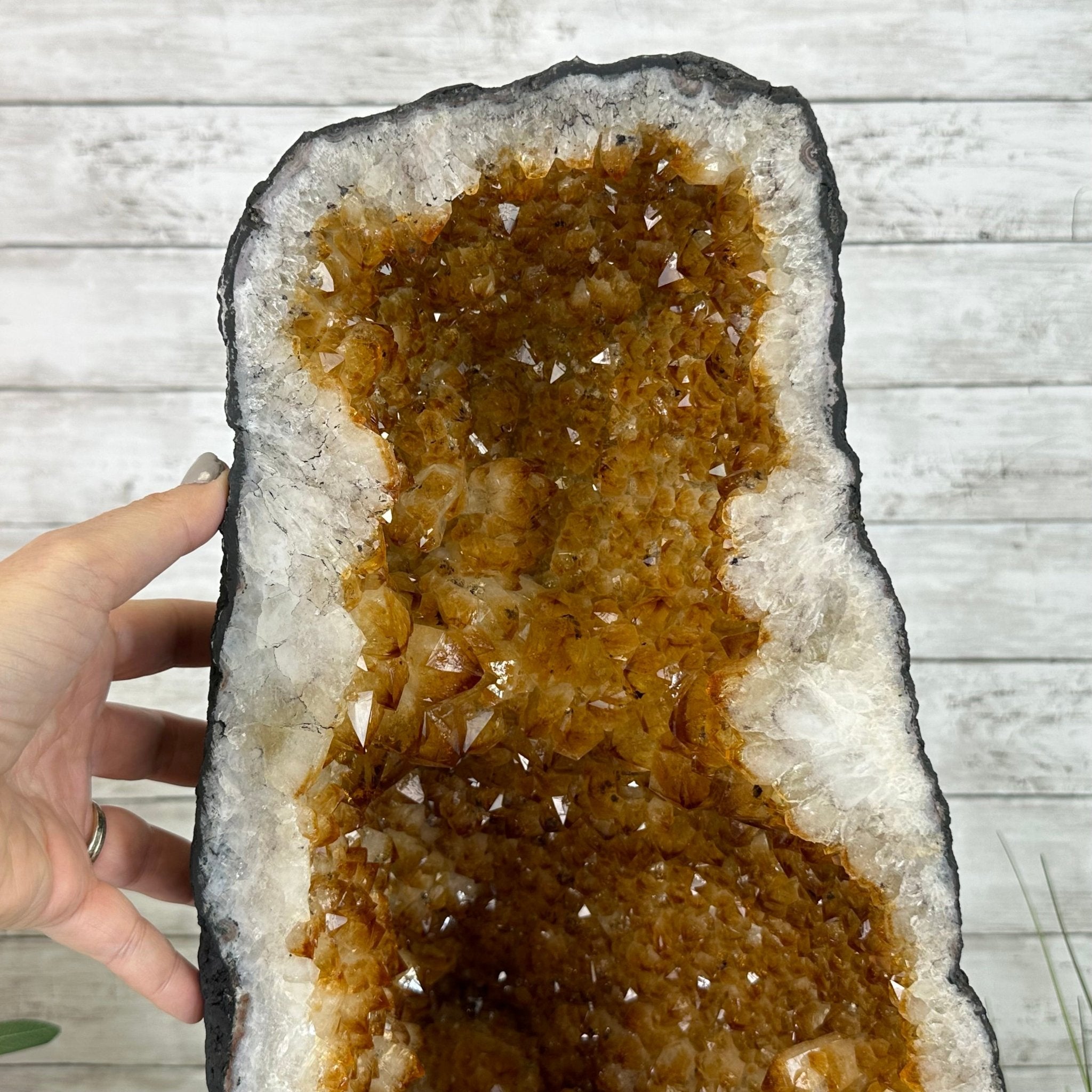 Extra Quality Citrine Cathedral, 72.5 lbs & 23.3" Tall #5603-0301 by Brazil Gems® - Brazil GemsBrazil GemsExtra Quality Citrine Cathedral, 72.5 lbs & 23.3" Tall #5603-0301 by Brazil Gems®Cathedrals5603-0301