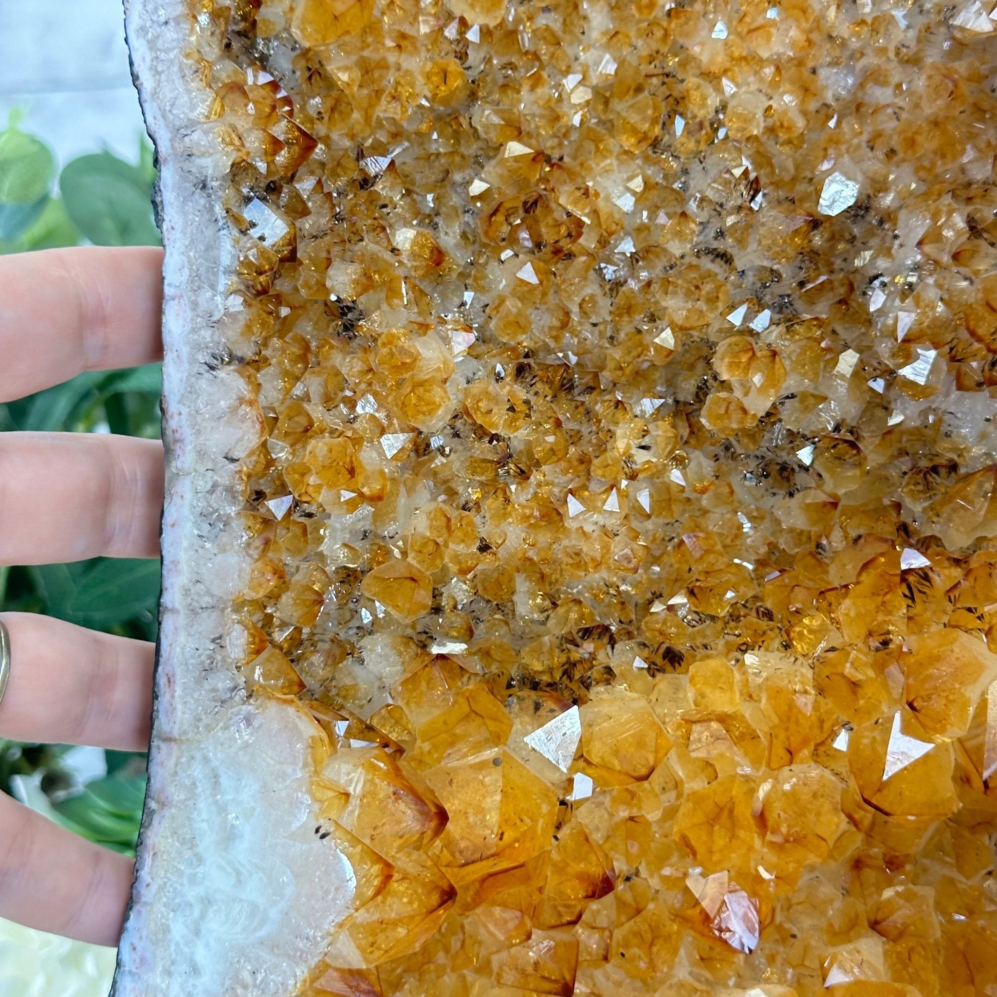 Extra Quality Citrine Cathedral, 78.2 lbs & 25.3" Tall #5603-0302 by Brazil Gems® - Brazil GemsBrazil GemsExtra Quality Citrine Cathedral, 78.2 lbs & 25.3" Tall #5603-0302 by Brazil Gems®Cathedrals5603-0302