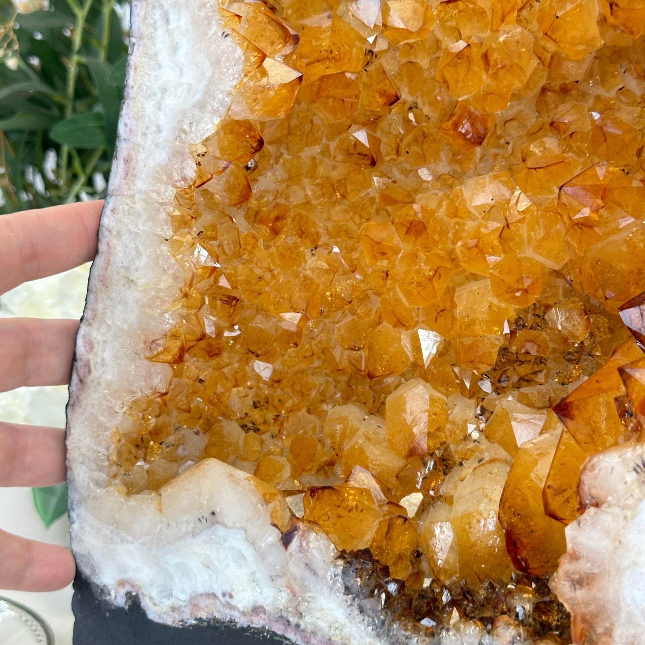 Extra Quality Citrine Cathedral, 78.2 lbs & 25.3" Tall #5603-0302 by Brazil Gems® - Brazil GemsBrazil GemsExtra Quality Citrine Cathedral, 78.2 lbs & 25.3" Tall #5603-0302 by Brazil Gems®Cathedrals5603-0302