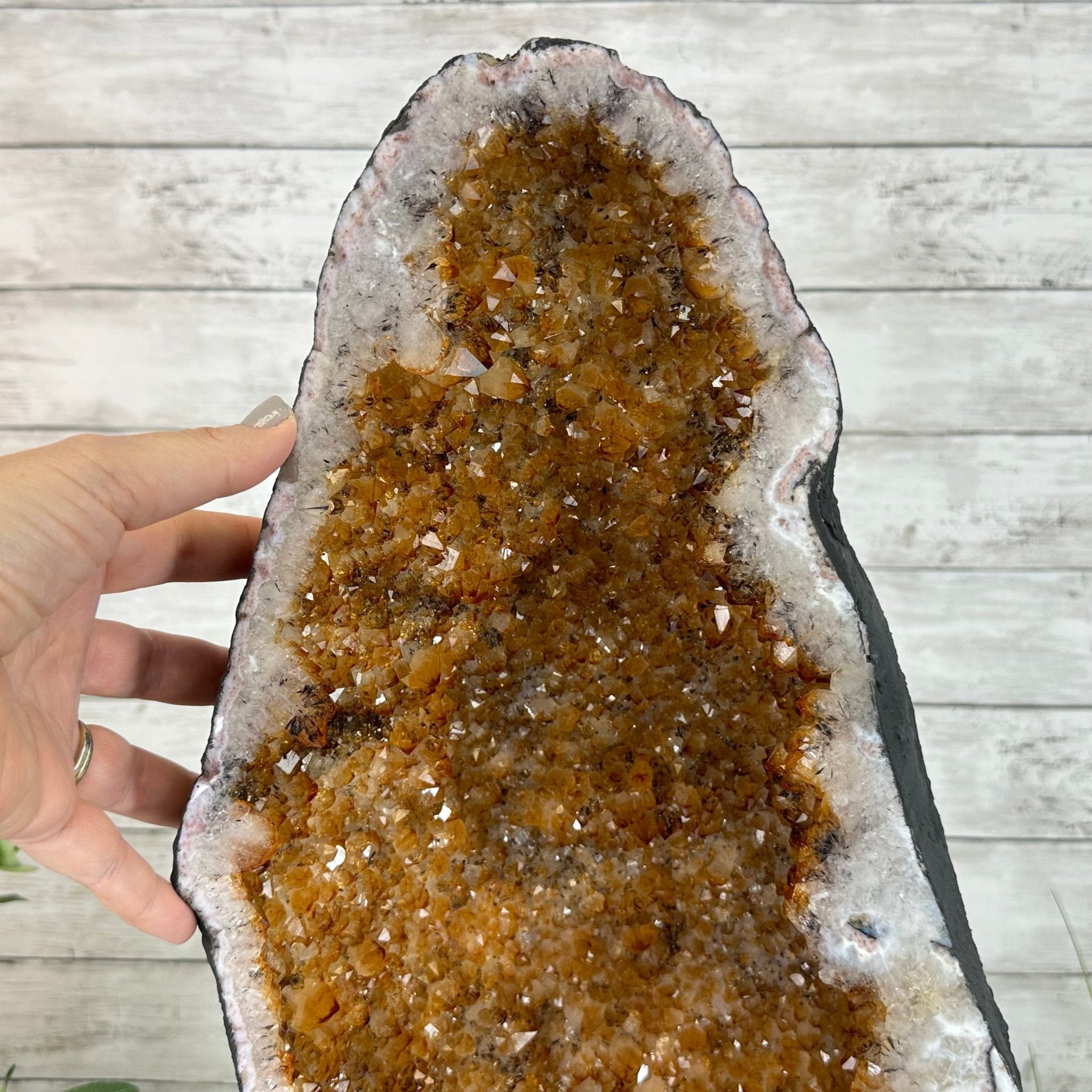 Extra Quality Citrine Cathedral, 78.2 lbs & 25.3" Tall #5603-0302 by Brazil Gems® - Brazil GemsBrazil GemsExtra Quality Citrine Cathedral, 78.2 lbs & 25.3" Tall #5603-0302 by Brazil Gems®Cathedrals5603-0302