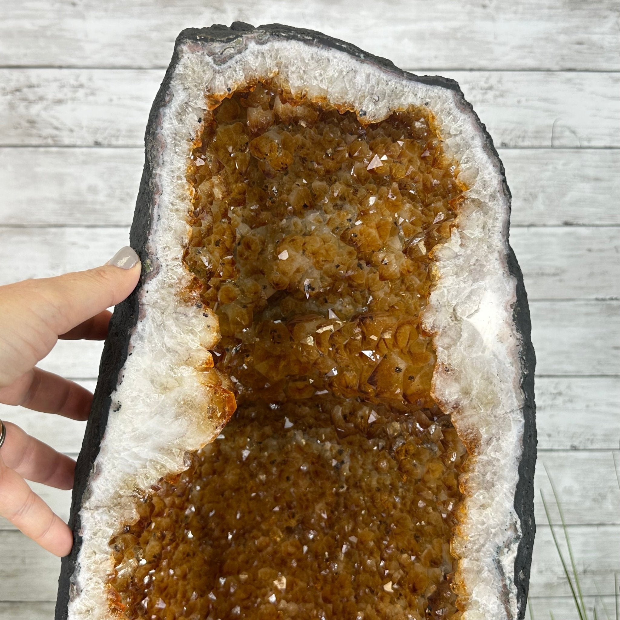 Extra Quality Citrine Cathedral, 87.2 lbs & 23.9" Tall #5603-0306 by Brazil Gems® - Brazil GemsBrazil GemsExtra Quality Citrine Cathedral, 87.2 lbs & 23.9" Tall #5603-0306 by Brazil Gems®Cathedrals5603-0306