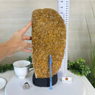 Extra Quality Citrine Cluster on Cement Base, 13.8 lbs and 13.7" Tall 5615 - 0068 - Brazil GemsBrazil GemsExtra Quality Citrine Cluster on Cement Base, 13.8 lbs and 13.7" Tall 5615 - 0068Clusters on Cement Bases5615 - 0068