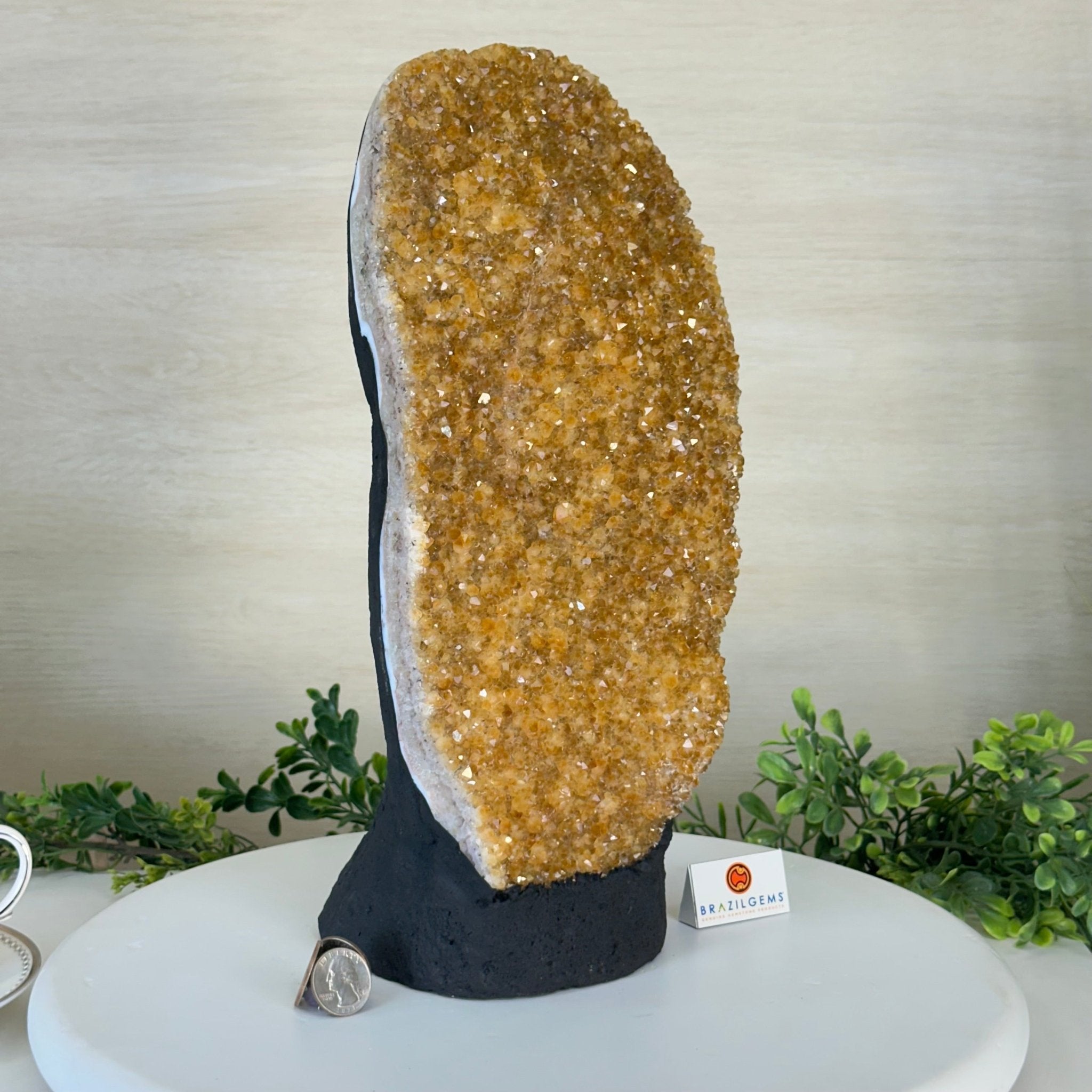 Extra Quality Citrine Cluster on Cement Base, 13.8 lbs and 13.7" Tall 5615 - 0068 - Brazil GemsBrazil GemsExtra Quality Citrine Cluster on Cement Base, 13.8 lbs and 13.7" Tall 5615 - 0068Clusters on Cement Bases5615 - 0068