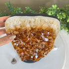 Extra Quality Citrine Cluster on Cement Base, 18.6 lbs and 14.9" Tall 5615 - 0071 - Brazil GemsBrazil GemsExtra Quality Citrine Cluster on Cement Base, 18.6 lbs and 14.9" Tall 5615 - 0071Clusters on Cement Bases5615 - 0071