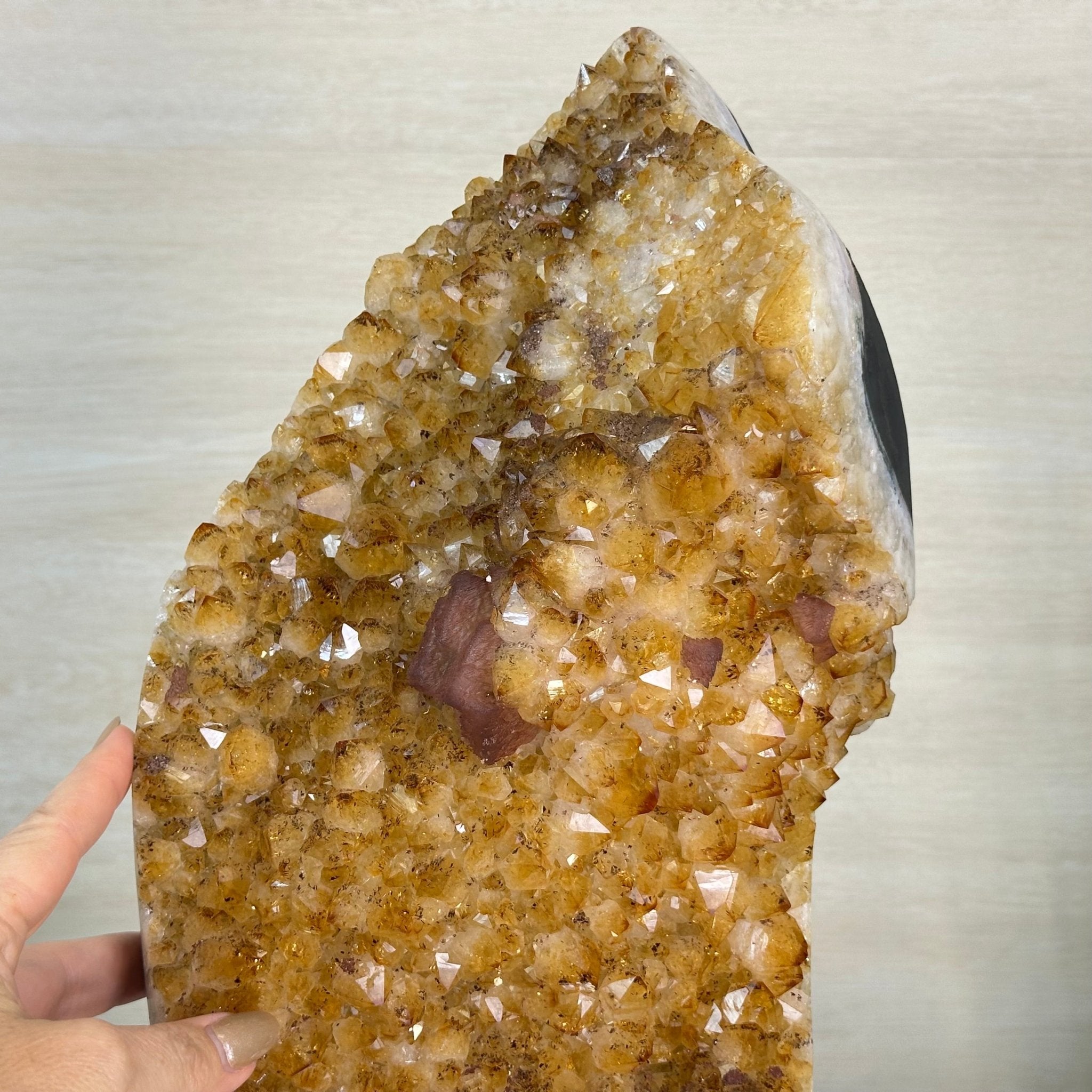 Extra Quality Citrine Cluster on Cement Base, 32.5 lbs and 18.9" Tall 5615 - 0073 - Brazil GemsBrazil GemsExtra Quality Citrine Cluster on Cement Base, 32.5 lbs and 18.9" Tall 5615 - 0073Clusters on Cement Bases5615 - 0073