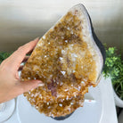 Extra Quality Citrine Cluster on Cement Base, 32.5 lbs and 18.9" Tall 5615 - 0073 - Brazil GemsBrazil GemsExtra Quality Citrine Cluster on Cement Base, 32.5 lbs and 18.9" Tall 5615 - 0073Clusters on Cement Bases5615 - 0073