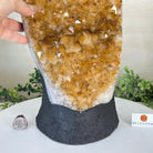 Extra Quality Citrine Cluster on Cement Base, 32.5 lbs and 18.9" Tall 5615 - 0073 - Brazil GemsBrazil GemsExtra Quality Citrine Cluster on Cement Base, 32.5 lbs and 18.9" Tall 5615 - 0073Clusters on Cement Bases5615 - 0073