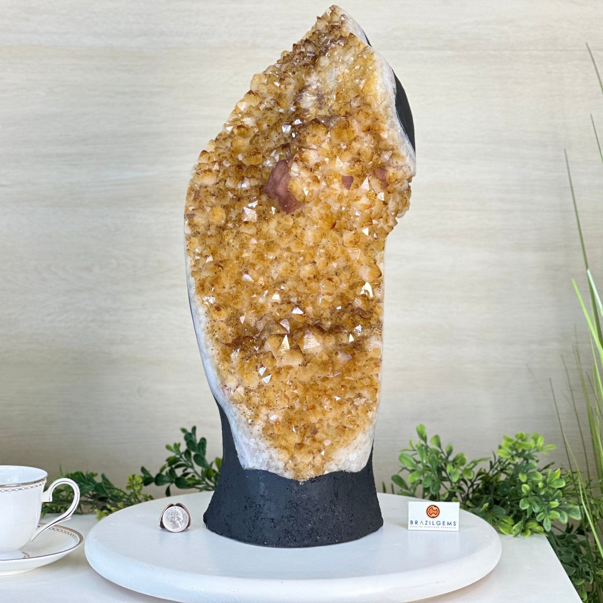 Extra Quality Citrine Cluster on Cement Base, 32.5 lbs and 18.9" Tall 5615 - 0073 - Brazil GemsBrazil GemsExtra Quality Citrine Cluster on Cement Base, 32.5 lbs and 18.9" Tall 5615 - 0073Clusters on Cement Bases5615 - 0073