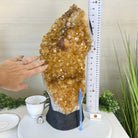 Extra Quality Citrine Cluster on Cement Base, 32.5 lbs and 18.9" Tall 5615 - 0073 - Brazil GemsBrazil GemsExtra Quality Citrine Cluster on Cement Base, 32.5 lbs and 18.9" Tall 5615 - 0073Clusters on Cement Bases5615 - 0073