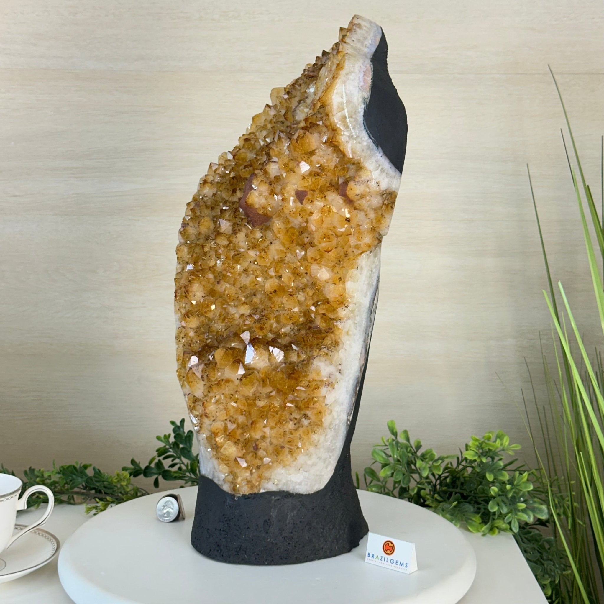 Extra Quality Citrine Cluster on Cement Base, 32.5 lbs and 18.9" Tall 5615 - 0073 - Brazil GemsBrazil GemsExtra Quality Citrine Cluster on Cement Base, 32.5 lbs and 18.9" Tall 5615 - 0073Clusters on Cement Bases5615 - 0073