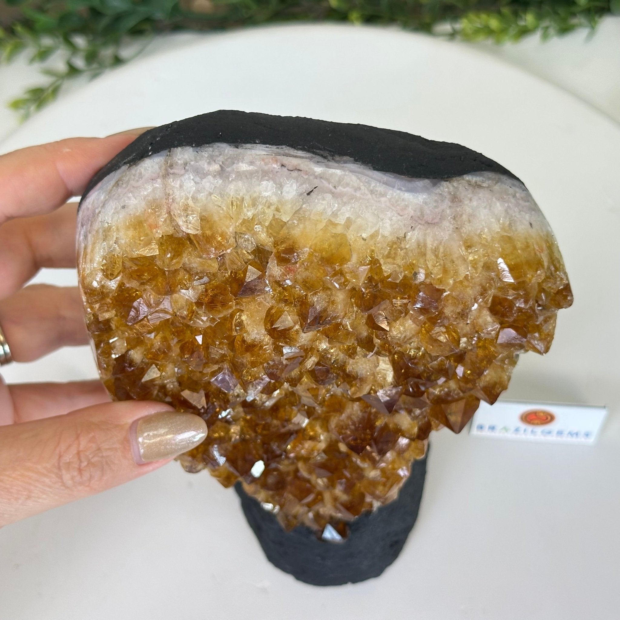 Extra Quality Citrine Cluster on Cement Base, 4.6 lbs and 7.9" Tall 5615 - 0048 - Brazil GemsBrazil GemsExtra Quality Citrine Cluster on Cement Base, 4.6 lbs and 7.9" Tall 5615 - 0048Clusters on Cement Bases5615 - 0048