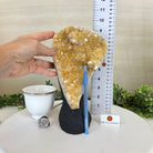 Extra Quality Citrine Cluster on Cement Base, 6 lbs and 9.4" Tall 5615 - 0052 - Brazil GemsBrazil GemsExtra Quality Citrine Cluster on Cement Base, 6 lbs and 9.4" Tall 5615 - 0052Clusters on Cement Bases5615 - 0052