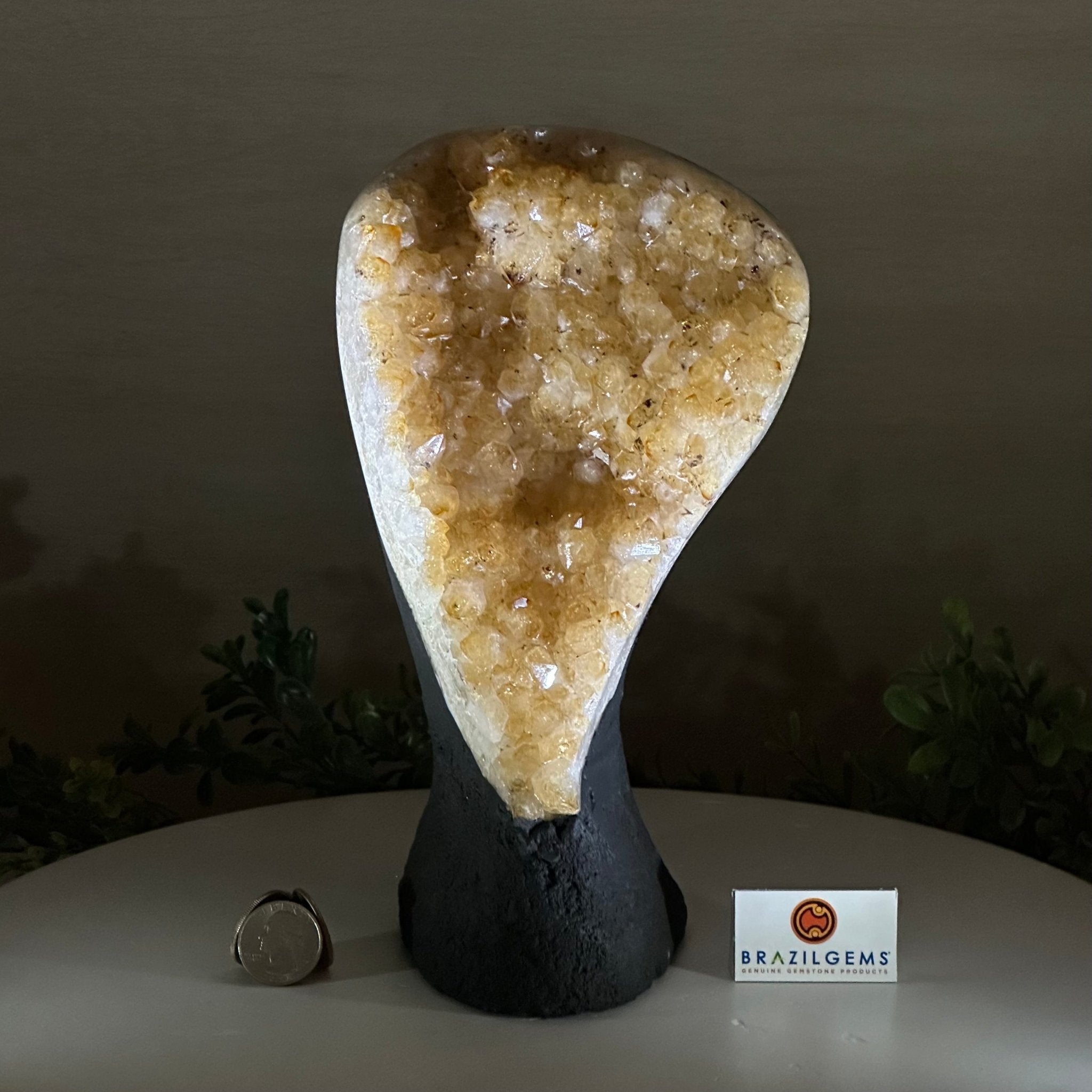 Extra Quality Citrine Cluster on Cement Base, 6 lbs and 9.4" Tall 5615 - 0052 - Brazil GemsBrazil GemsExtra Quality Citrine Cluster on Cement Base, 6 lbs and 9.4" Tall 5615 - 0052Clusters on Cement Bases5615 - 0052