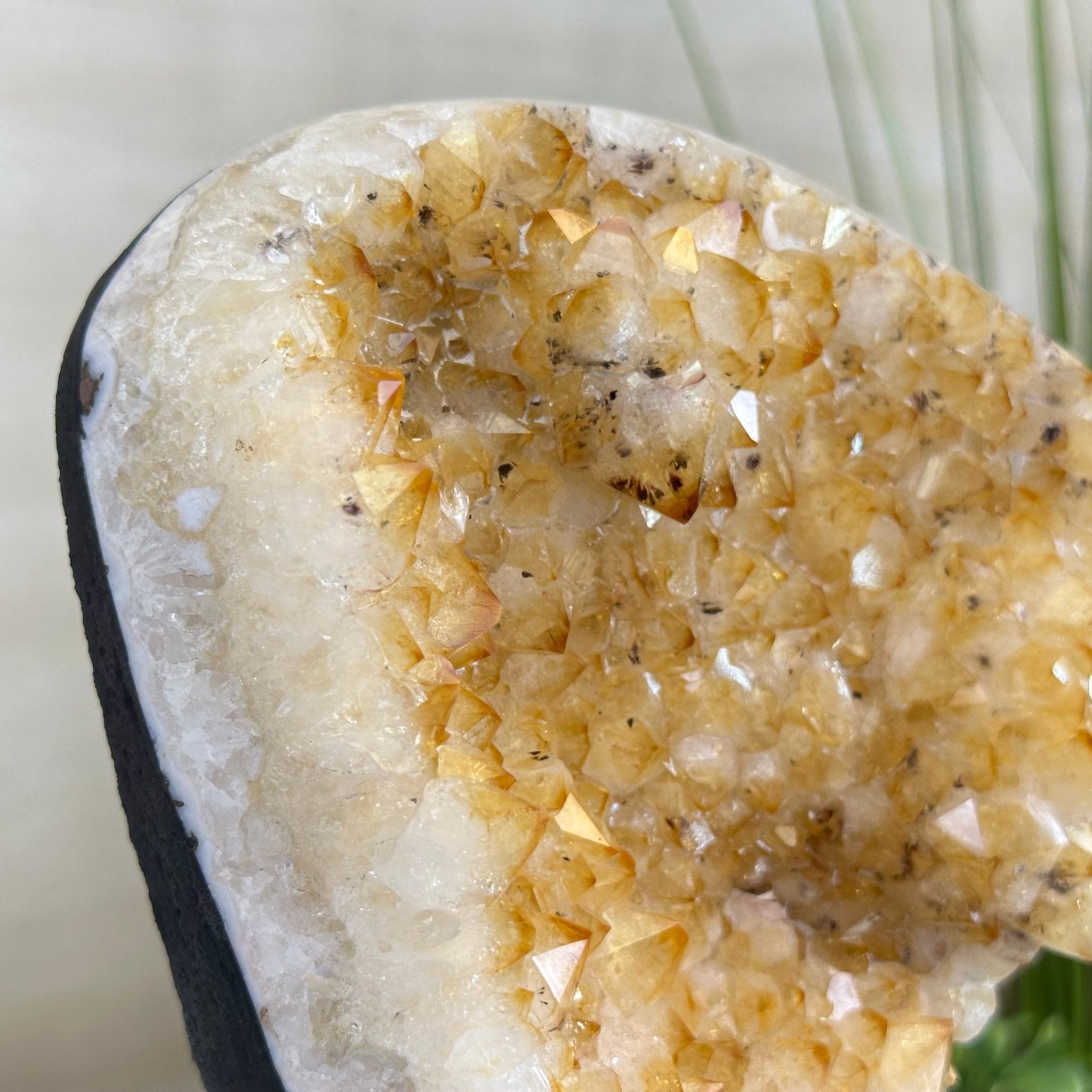 Extra Quality Citrine Cluster on Cement Base, 6 lbs and 9.4" Tall 5615 - 0052 - Brazil GemsBrazil GemsExtra Quality Citrine Cluster on Cement Base, 6 lbs and 9.4" Tall 5615 - 0052Clusters on Cement Bases5615 - 0052