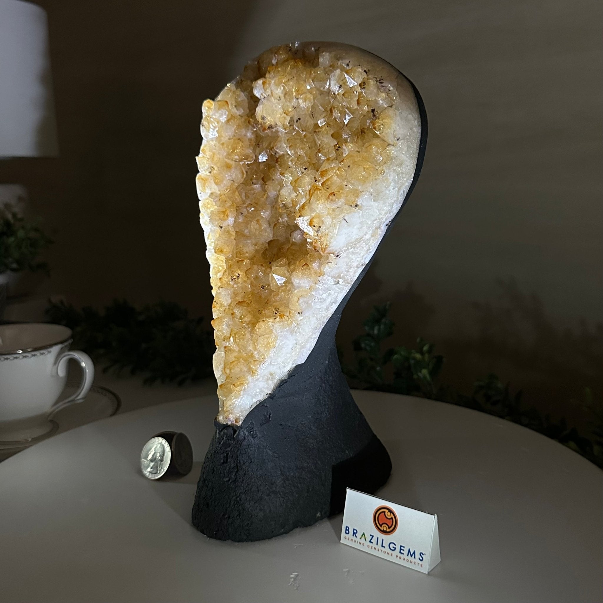 Extra Quality Citrine Cluster on Cement Base, 6 lbs and 9.4" Tall 5615 - 0052 - Brazil GemsBrazil GemsExtra Quality Citrine Cluster on Cement Base, 6 lbs and 9.4" Tall 5615 - 0052Clusters on Cement Bases5615 - 0052