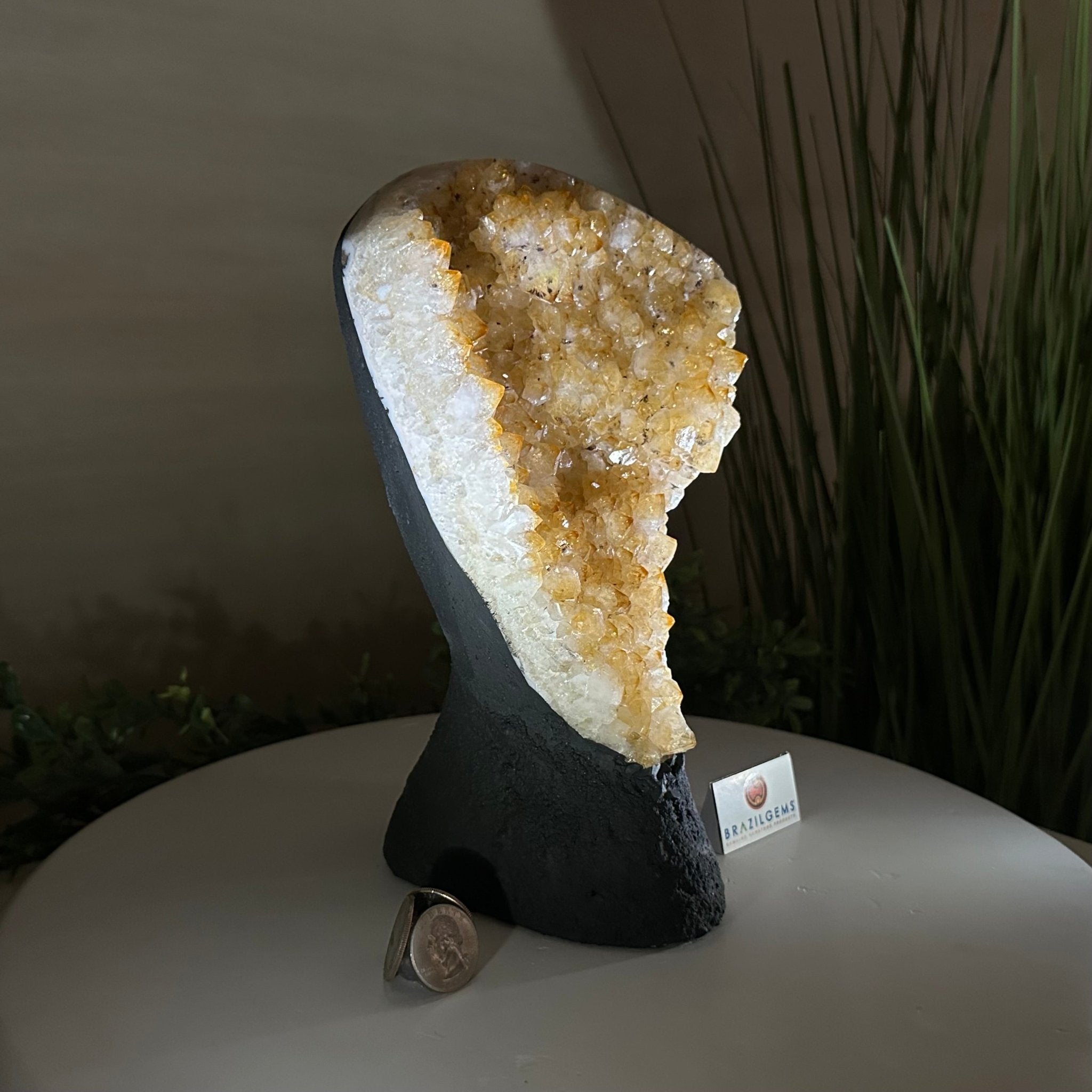 Extra Quality Citrine Cluster on Cement Base, 6 lbs and 9.4" Tall 5615 - 0052 - Brazil GemsBrazil GemsExtra Quality Citrine Cluster on Cement Base, 6 lbs and 9.4" Tall 5615 - 0052Clusters on Cement Bases5615 - 0052