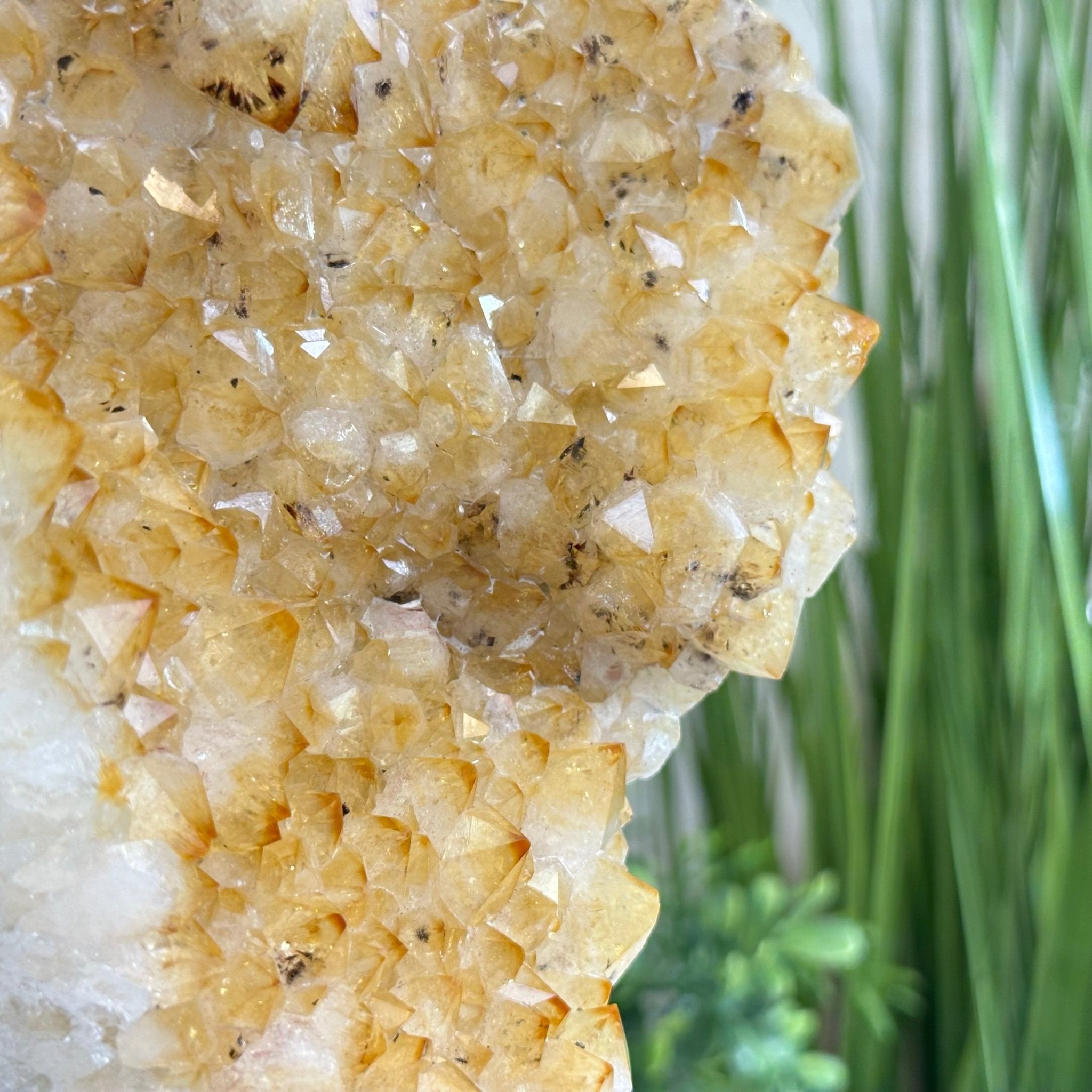 Extra Quality Citrine Cluster on Cement Base, 6 lbs and 9.4" Tall 5615 - 0052 - Brazil GemsBrazil GemsExtra Quality Citrine Cluster on Cement Base, 6 lbs and 9.4" Tall 5615 - 0052Clusters on Cement Bases5615 - 0052