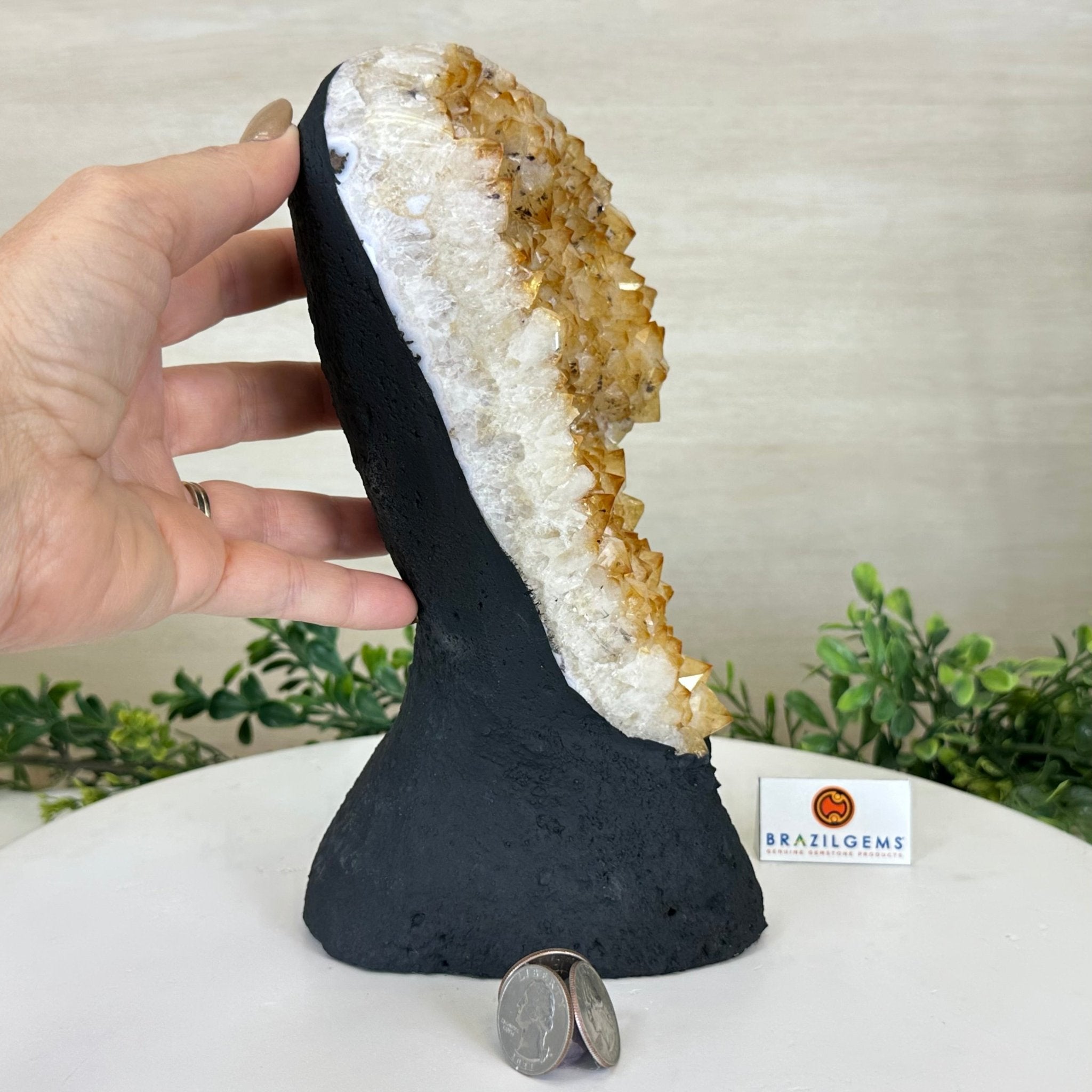 Extra Quality Citrine Cluster on Cement Base, 6 lbs and 9.4" Tall 5615 - 0052 - Brazil GemsBrazil GemsExtra Quality Citrine Cluster on Cement Base, 6 lbs and 9.4" Tall 5615 - 0052Clusters on Cement Bases5615 - 0052