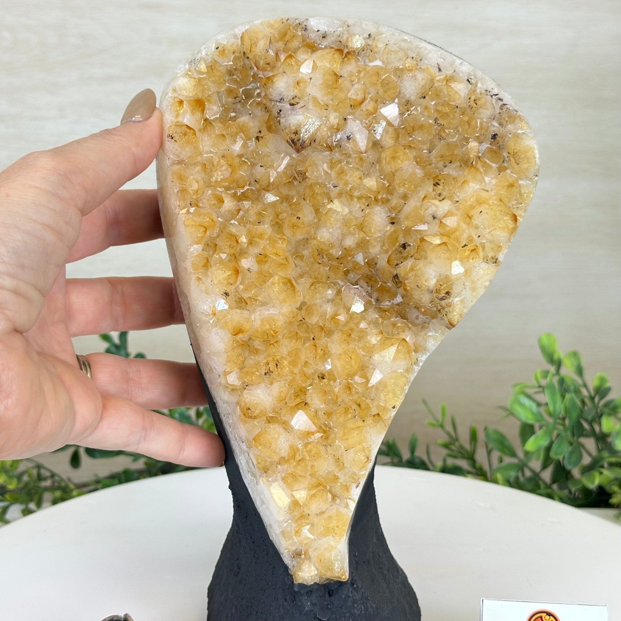 Extra Quality Citrine Cluster on Cement Base, 6 lbs and 9.4" Tall 5615 - 0052 - Brazil GemsBrazil GemsExtra Quality Citrine Cluster on Cement Base, 6 lbs and 9.4" Tall 5615 - 0052Clusters on Cement Bases5615 - 0052