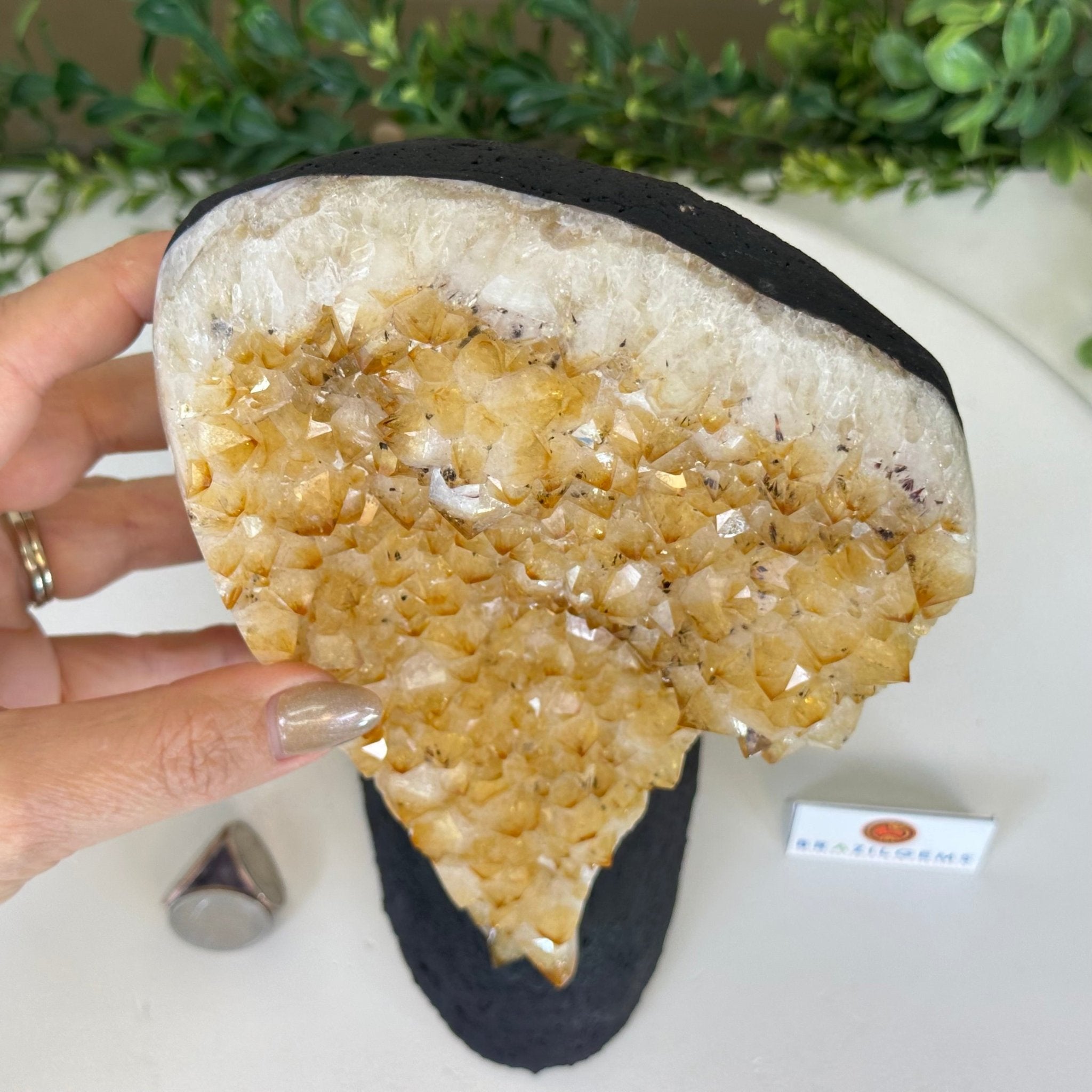 Extra Quality Citrine Cluster on Cement Base, 6 lbs and 9.4" Tall 5615 - 0052 - Brazil GemsBrazil GemsExtra Quality Citrine Cluster on Cement Base, 6 lbs and 9.4" Tall 5615 - 0052Clusters on Cement Bases5615 - 0052