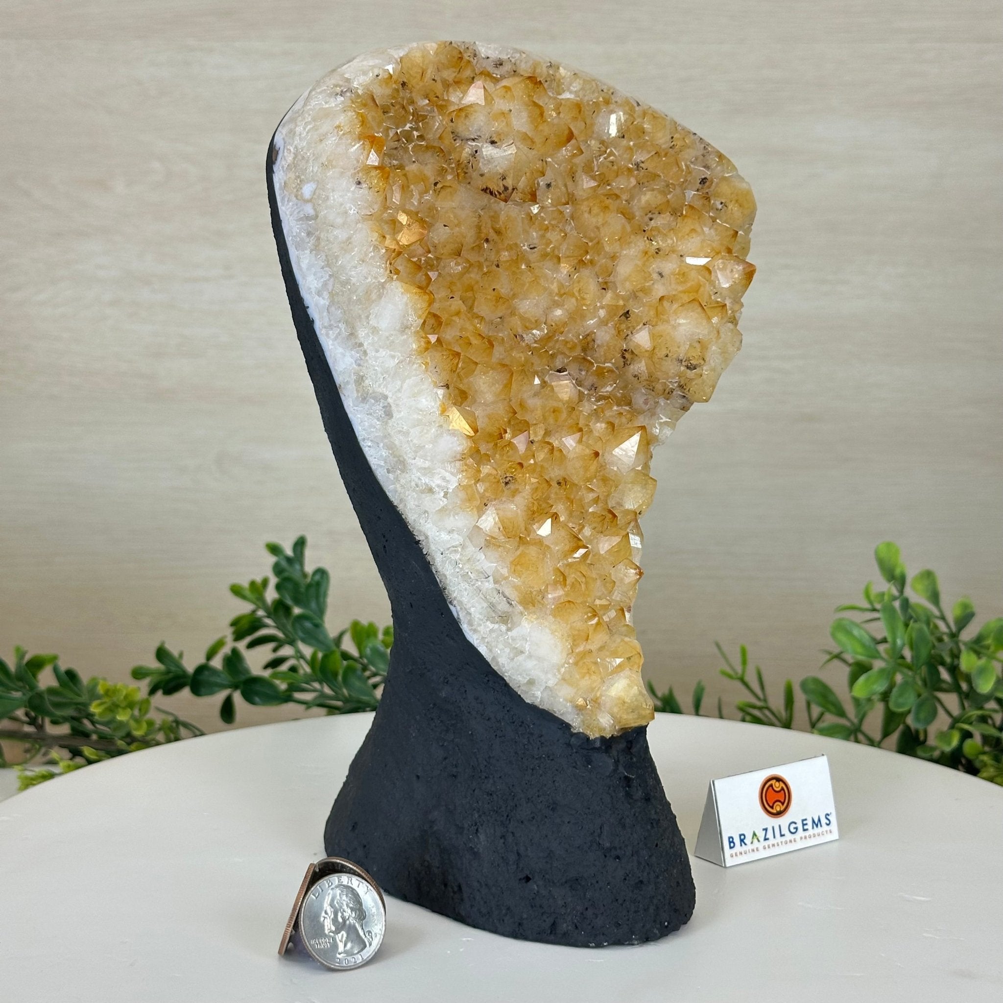 Extra Quality Citrine Cluster on Cement Base, 6 lbs and 9.4" Tall 5615 - 0052 - Brazil GemsBrazil GemsExtra Quality Citrine Cluster on Cement Base, 6 lbs and 9.4" Tall 5615 - 0052Clusters on Cement Bases5615 - 0052