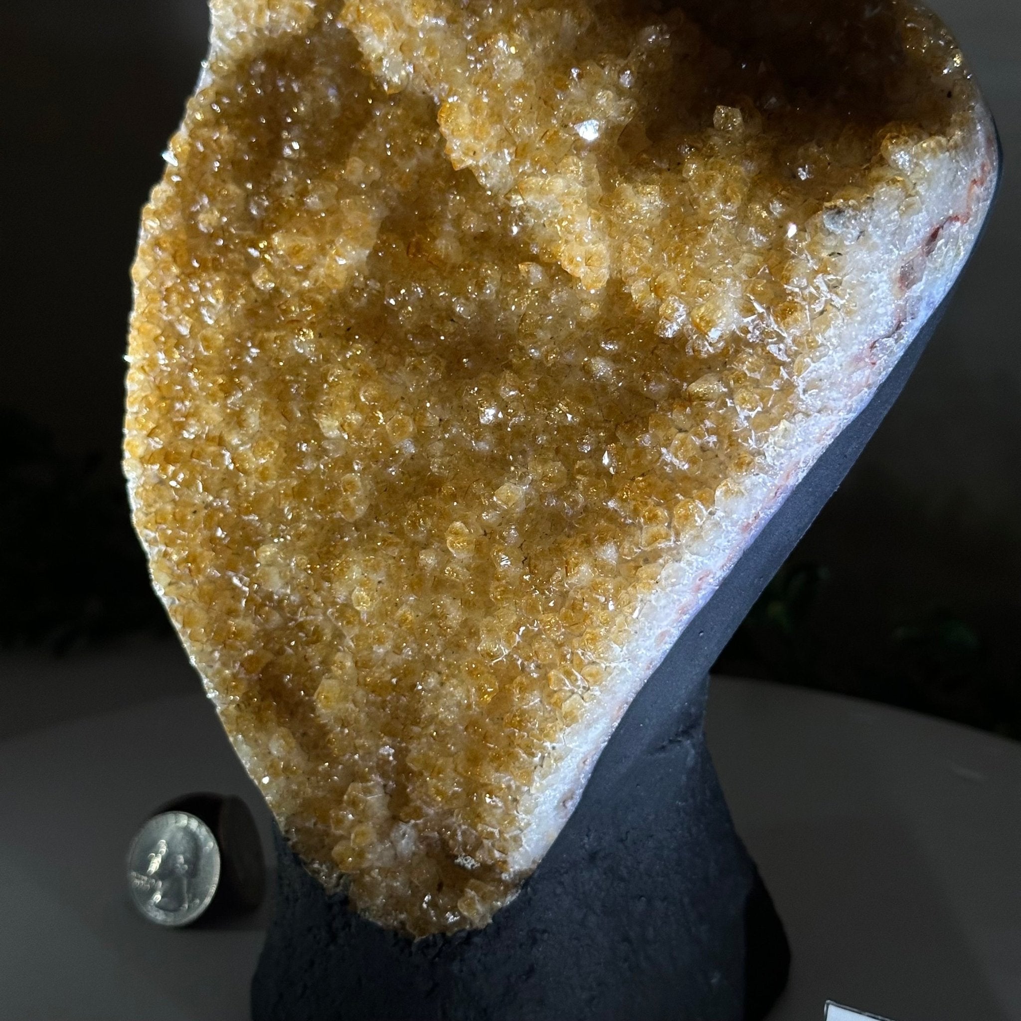 Extra Quality Citrine Cluster on Cement Base, 6.1 lbs and 8.8" Tall 5615 - 0054 - Brazil GemsBrazil GemsExtra Quality Citrine Cluster on Cement Base, 6.1 lbs and 8.8" Tall 5615 - 0054Clusters on Cement Bases5615 - 0054