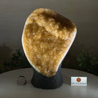 Extra Quality Citrine Cluster on Cement Base, 6.1 lbs and 8.8" Tall 5615 - 0054 - Brazil GemsBrazil GemsExtra Quality Citrine Cluster on Cement Base, 6.1 lbs and 8.8" Tall 5615 - 0054Clusters on Cement Bases5615 - 0054