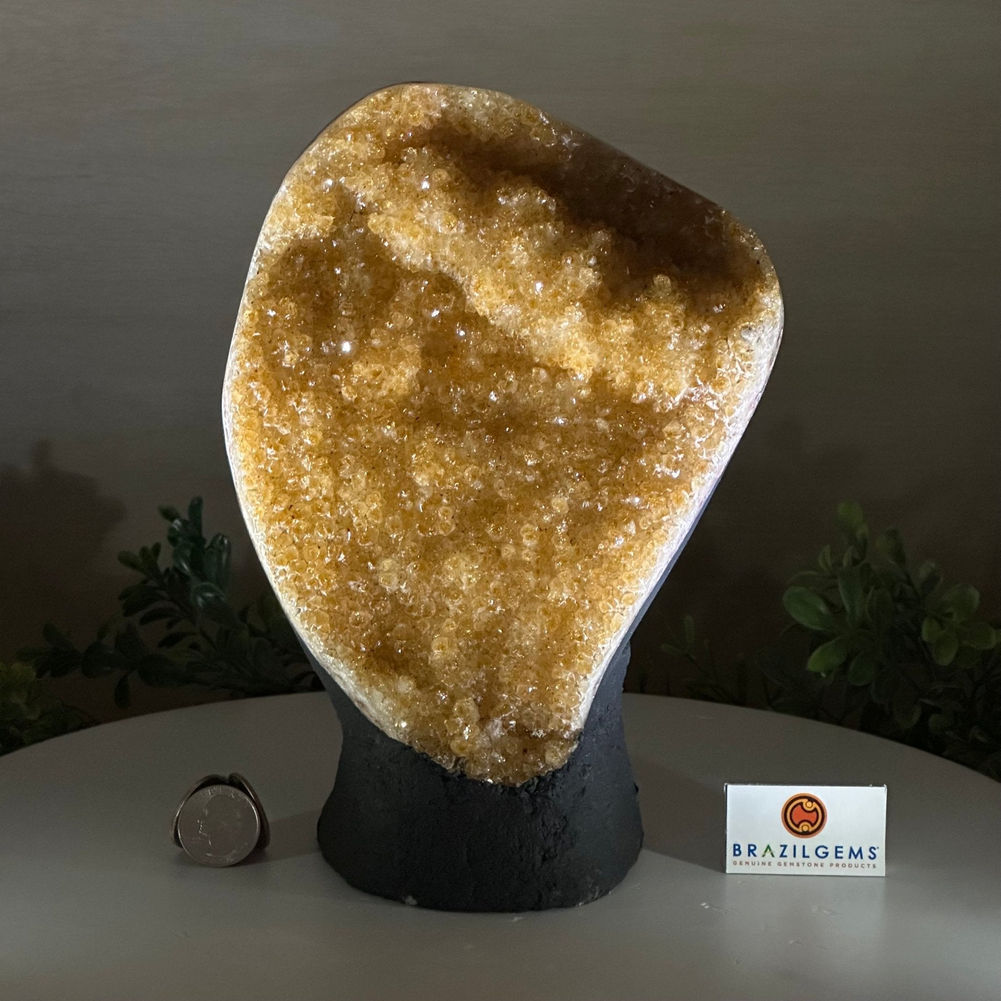 Extra Quality Citrine Cluster on Cement Base, 6.1 lbs and 8.8" Tall 5615 - 0054 - Brazil GemsBrazil GemsExtra Quality Citrine Cluster on Cement Base, 6.1 lbs and 8.8" Tall 5615 - 0054Clusters on Cement Bases5615 - 0054
