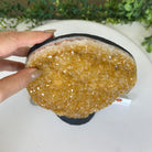 Extra Quality Citrine Cluster on Cement Base, 6.1 lbs and 8.8" Tall 5615 - 0054 - Brazil GemsBrazil GemsExtra Quality Citrine Cluster on Cement Base, 6.1 lbs and 8.8" Tall 5615 - 0054Clusters on Cement Bases5615 - 0054