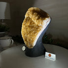 Extra Quality Citrine Cluster on Cement Base, 6.1 lbs and 8.8" Tall 5615 - 0054 - Brazil GemsBrazil GemsExtra Quality Citrine Cluster on Cement Base, 6.1 lbs and 8.8" Tall 5615 - 0054Clusters on Cement Bases5615 - 0054