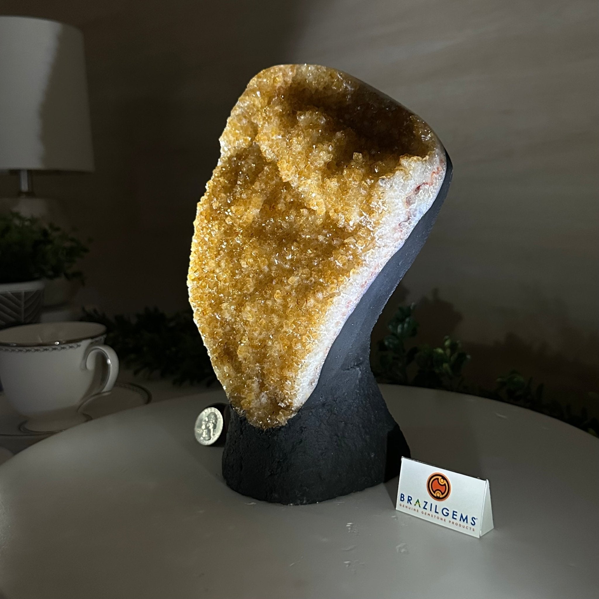 Extra Quality Citrine Cluster on Cement Base, 6.1 lbs and 8.8" Tall 5615 - 0054 - Brazil GemsBrazil GemsExtra Quality Citrine Cluster on Cement Base, 6.1 lbs and 8.8" Tall 5615 - 0054Clusters on Cement Bases5615 - 0054