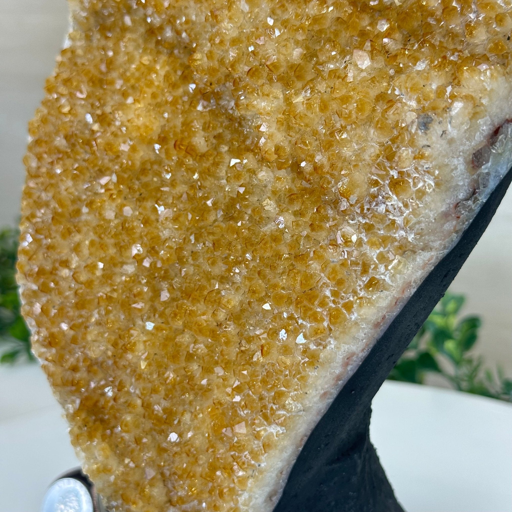 Extra Quality Citrine Cluster on Cement Base, 6.1 lbs and 8.8" Tall 5615 - 0054 - Brazil GemsBrazil GemsExtra Quality Citrine Cluster on Cement Base, 6.1 lbs and 8.8" Tall 5615 - 0054Clusters on Cement Bases5615 - 0054